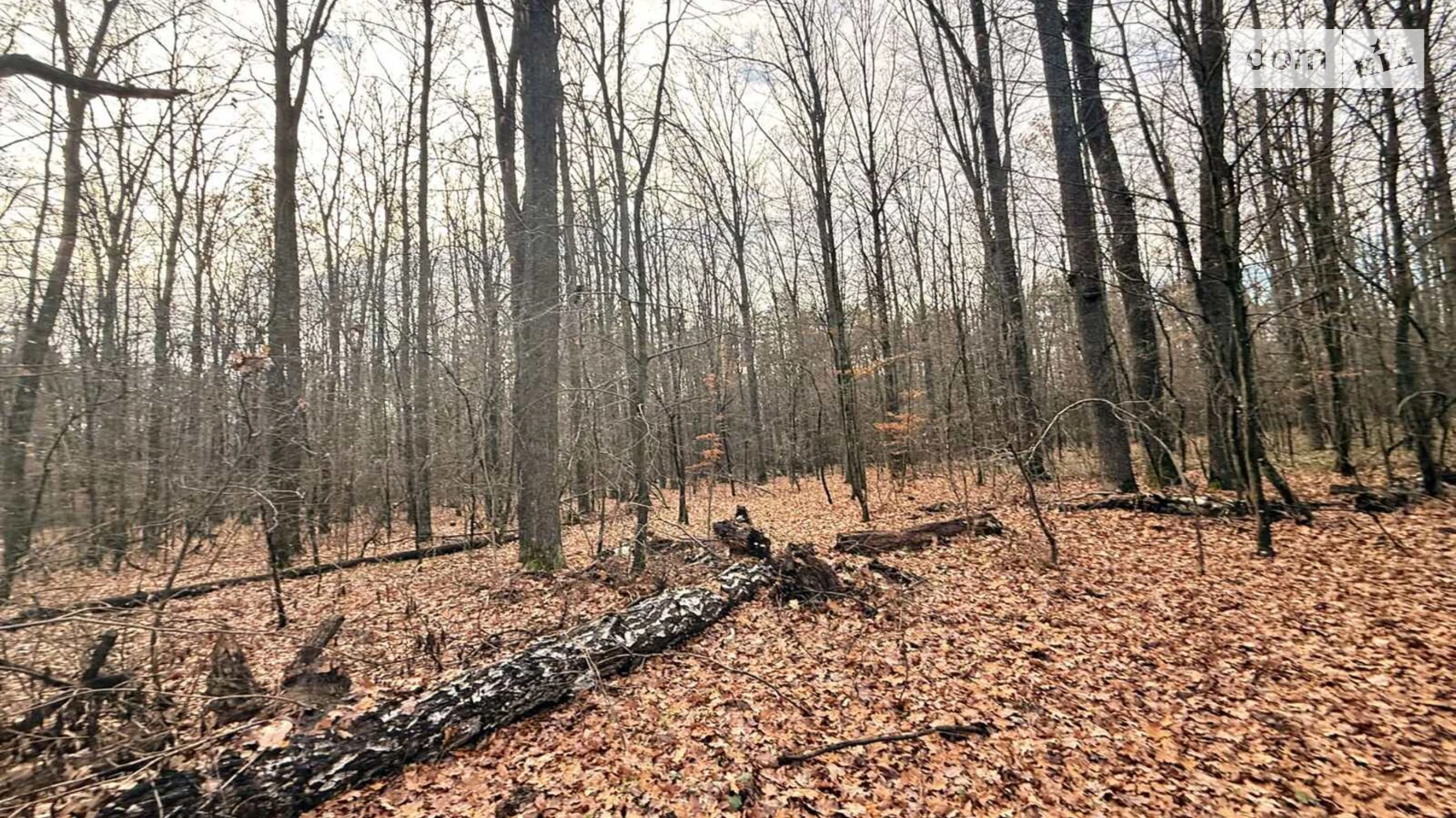 Славное, цена: 26000 $ - фото 4