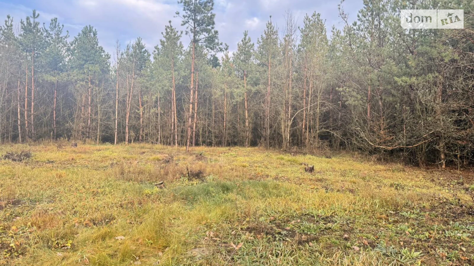 Славное, цена: 27000 $ - фото 2