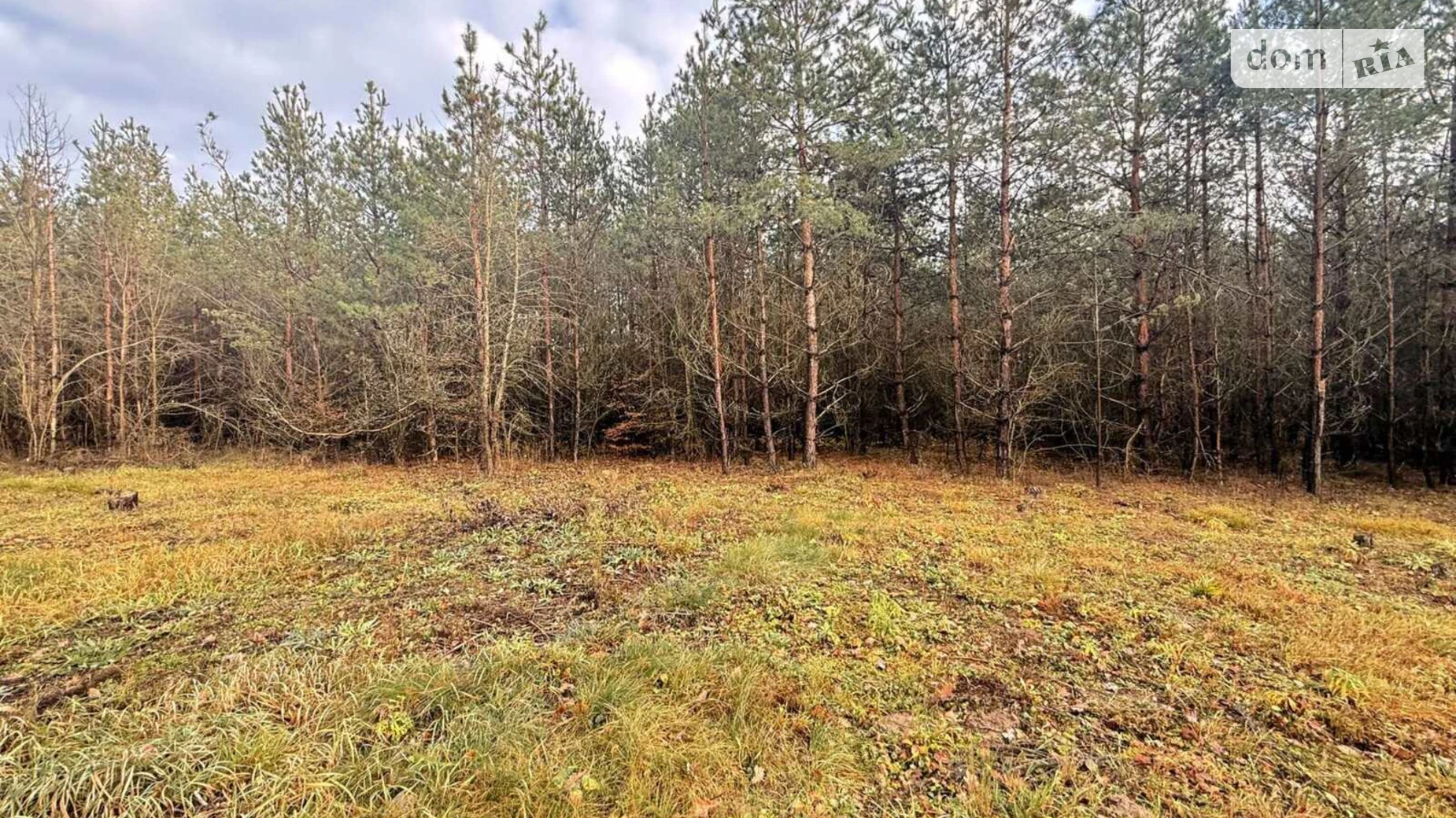 Славное, цена: 27000 $ - фото 3