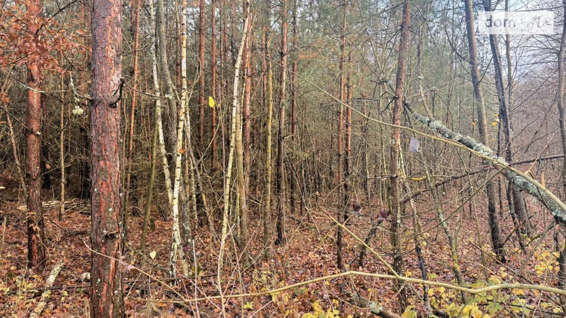 Славное, цена: 27000 $ - фото 5