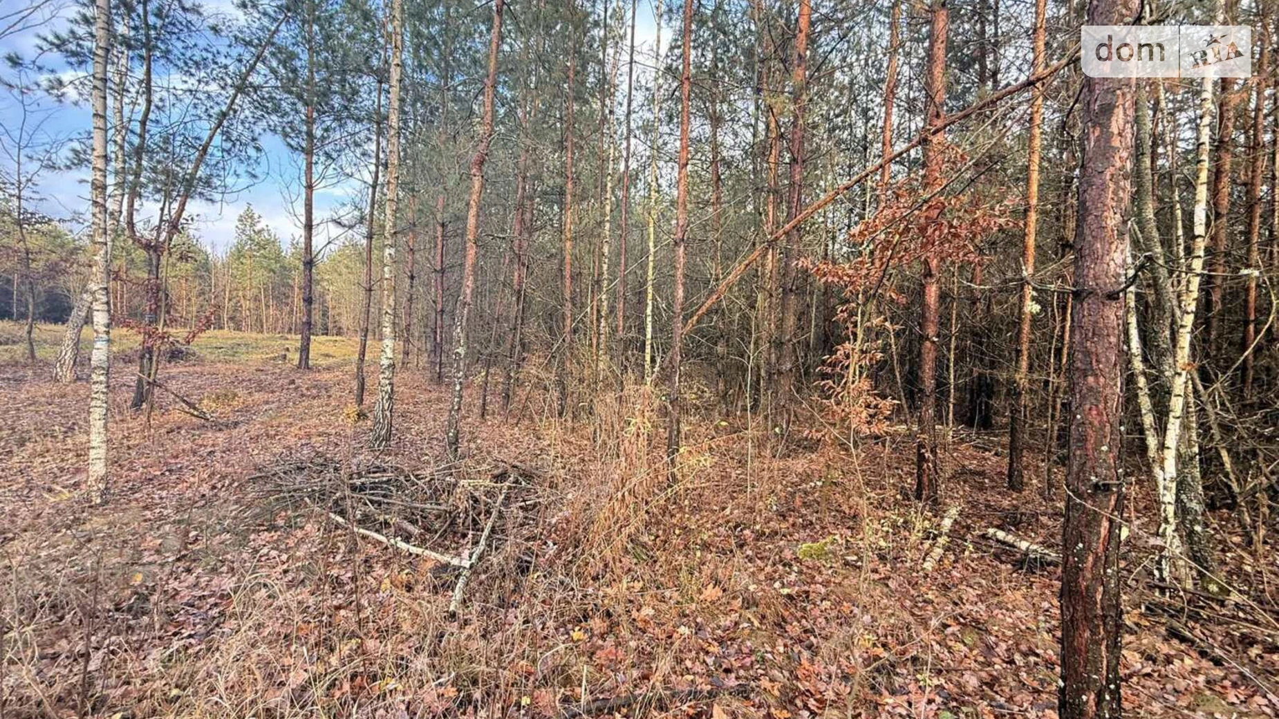 Славное, цена: 27000 $ - фото 4