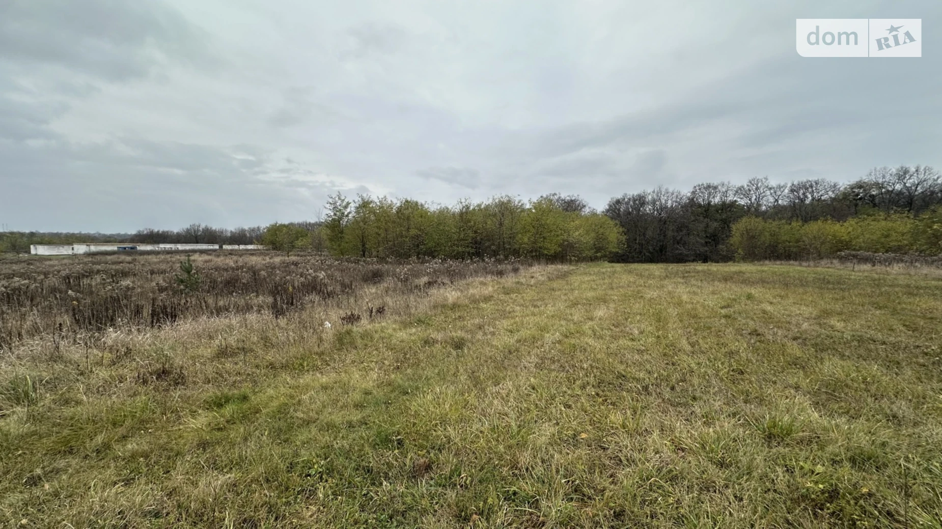 Зарванцы, цена: 43000 $ - фото 2