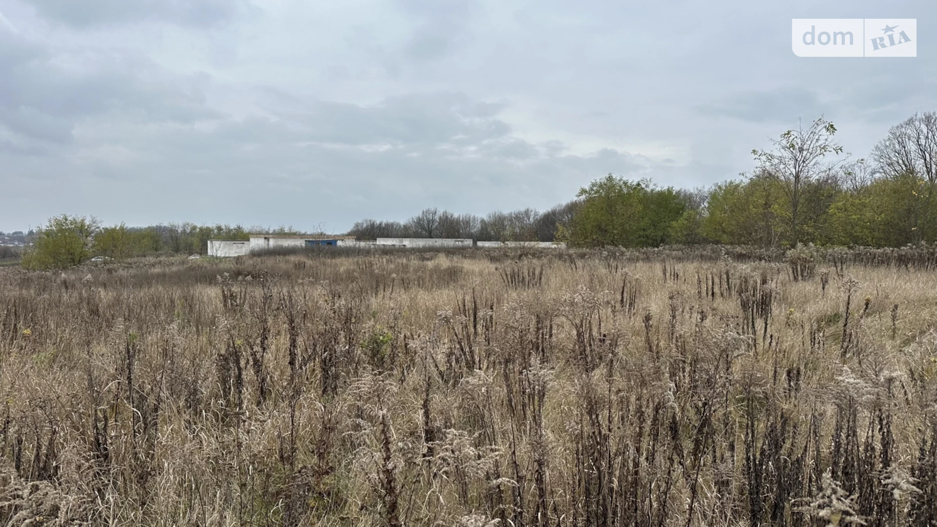 Зарванцы, цена: 43000 $ - фото 5