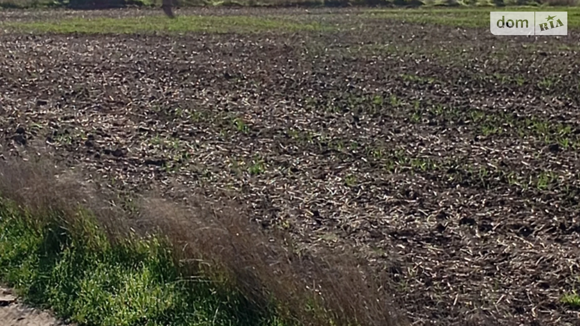 Продается земельный участок 8 соток в Одесской области, цена: 15000 $ - фото 2