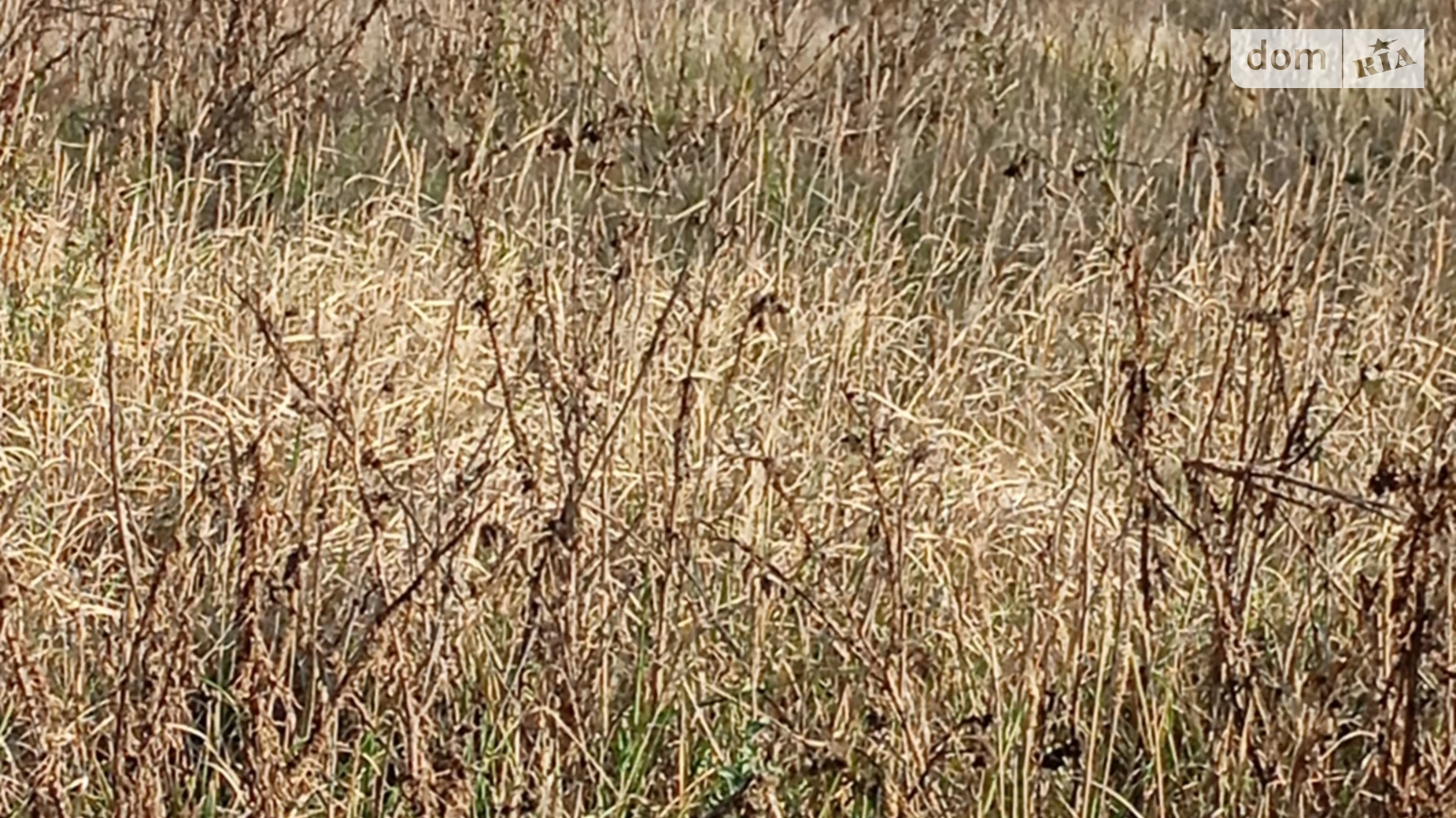 Продается земельный участок 8 соток в Одесской области, цена: 15000 $ - фото 3