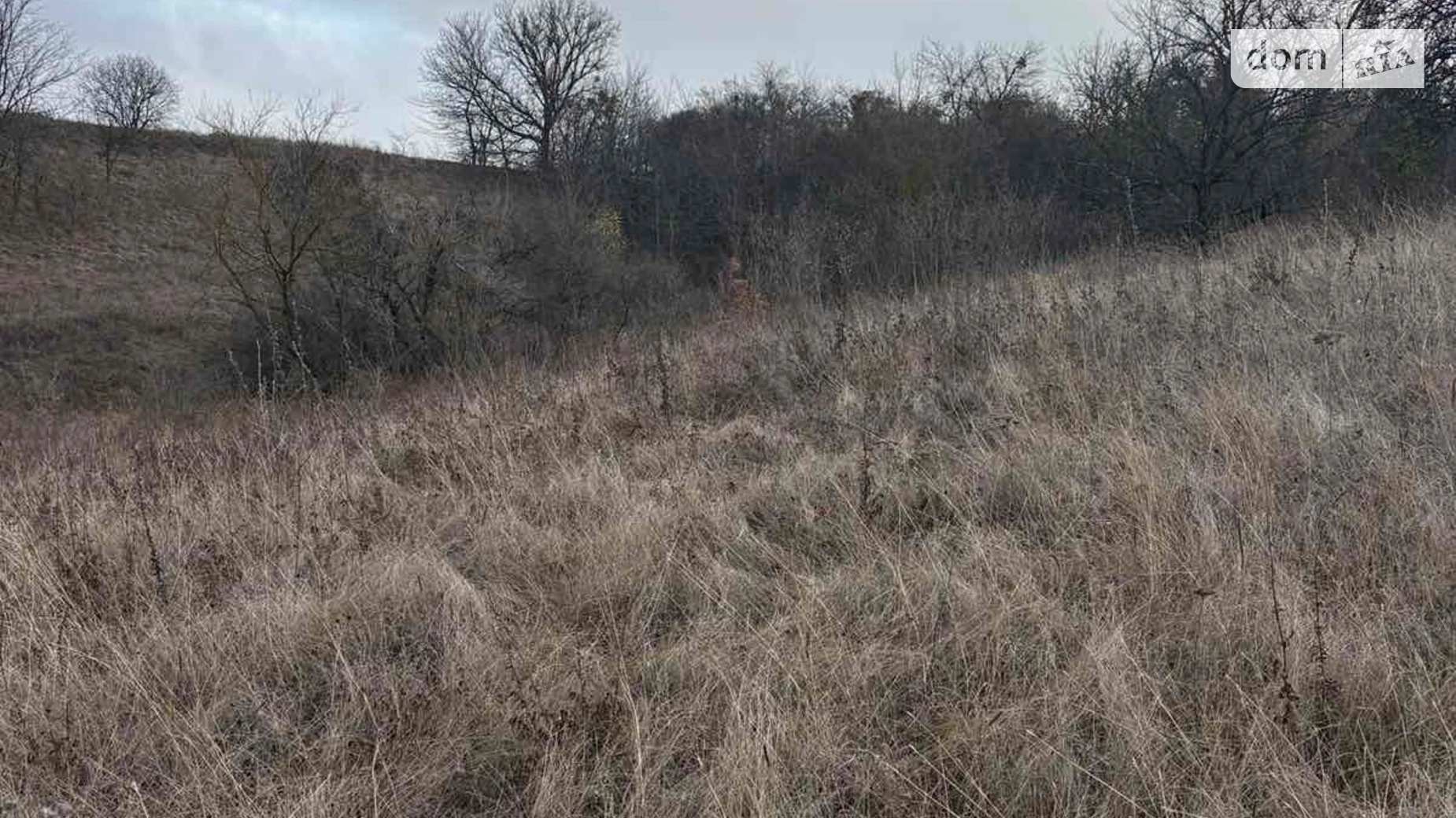 Здається в оренду земельна ділянка 0.7256 соток у Черкаській області, цена: 1849 грн - фото 2