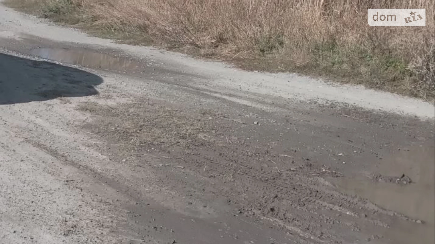 Сдается в аренду земельный участок 38.5598 соток в  области, цена: 2420933 грн - фото 3