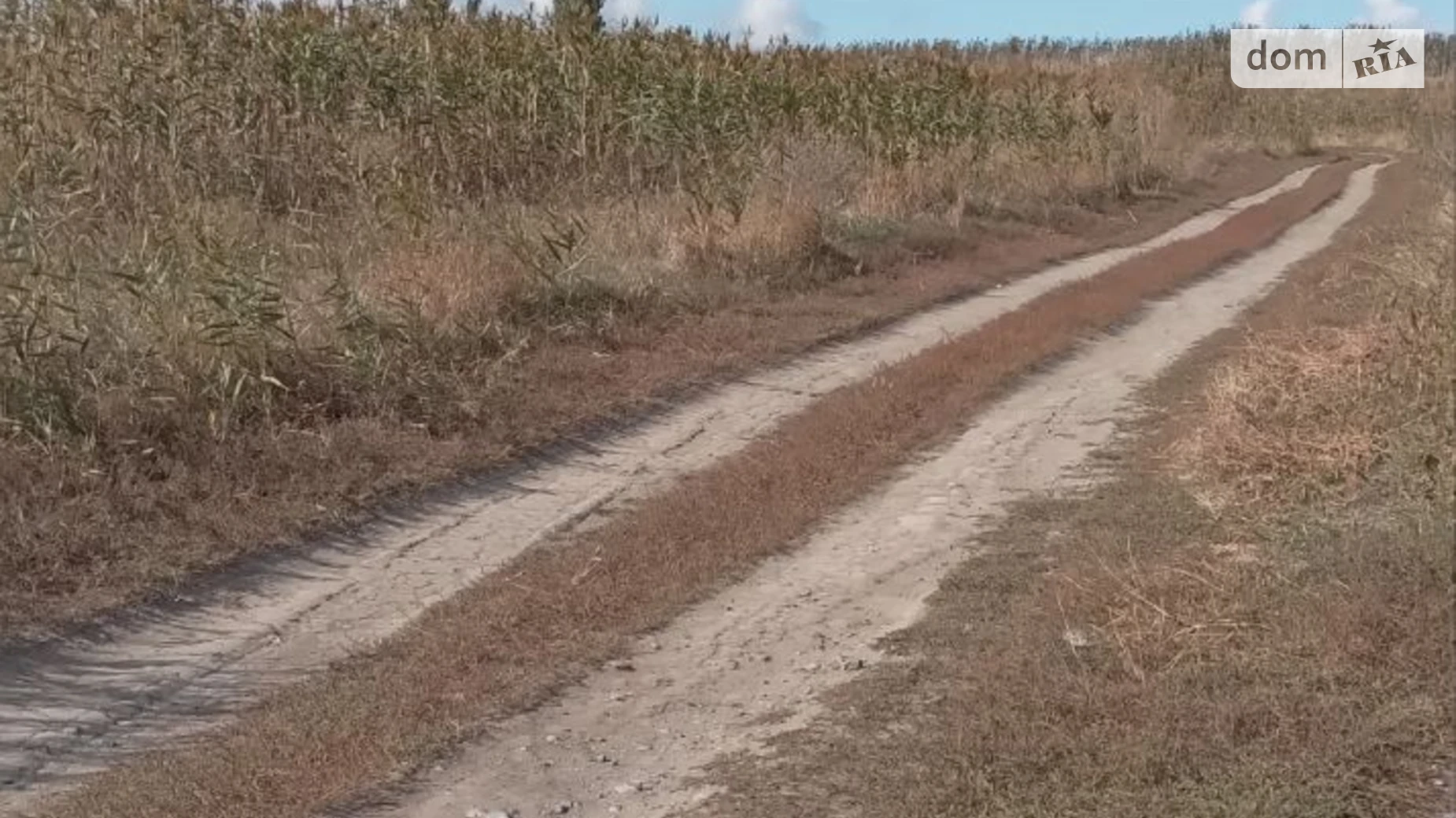 Сдается в аренду земельный участок 38.5598 соток в  области, цена: 2420933 грн - фото 4