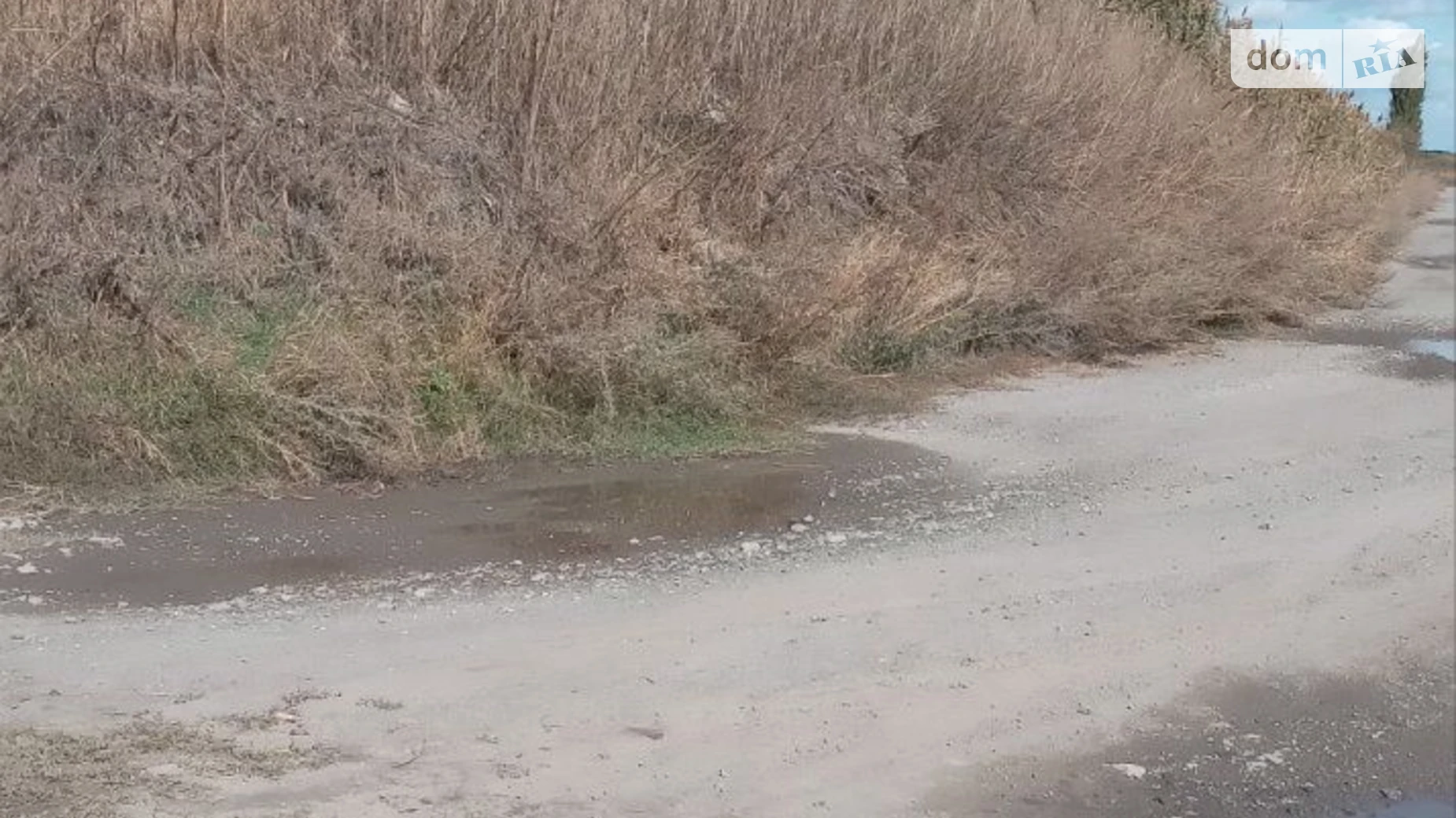 Сдается в аренду земельный участок 38.5598 соток в  области, цена: 2420933 грн - фото 5