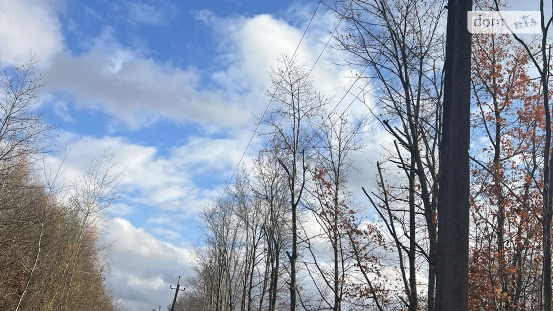 Продається земельна ділянка 9.92 соток у Івано-Франківській області, цена: 20000 $ - фото 2