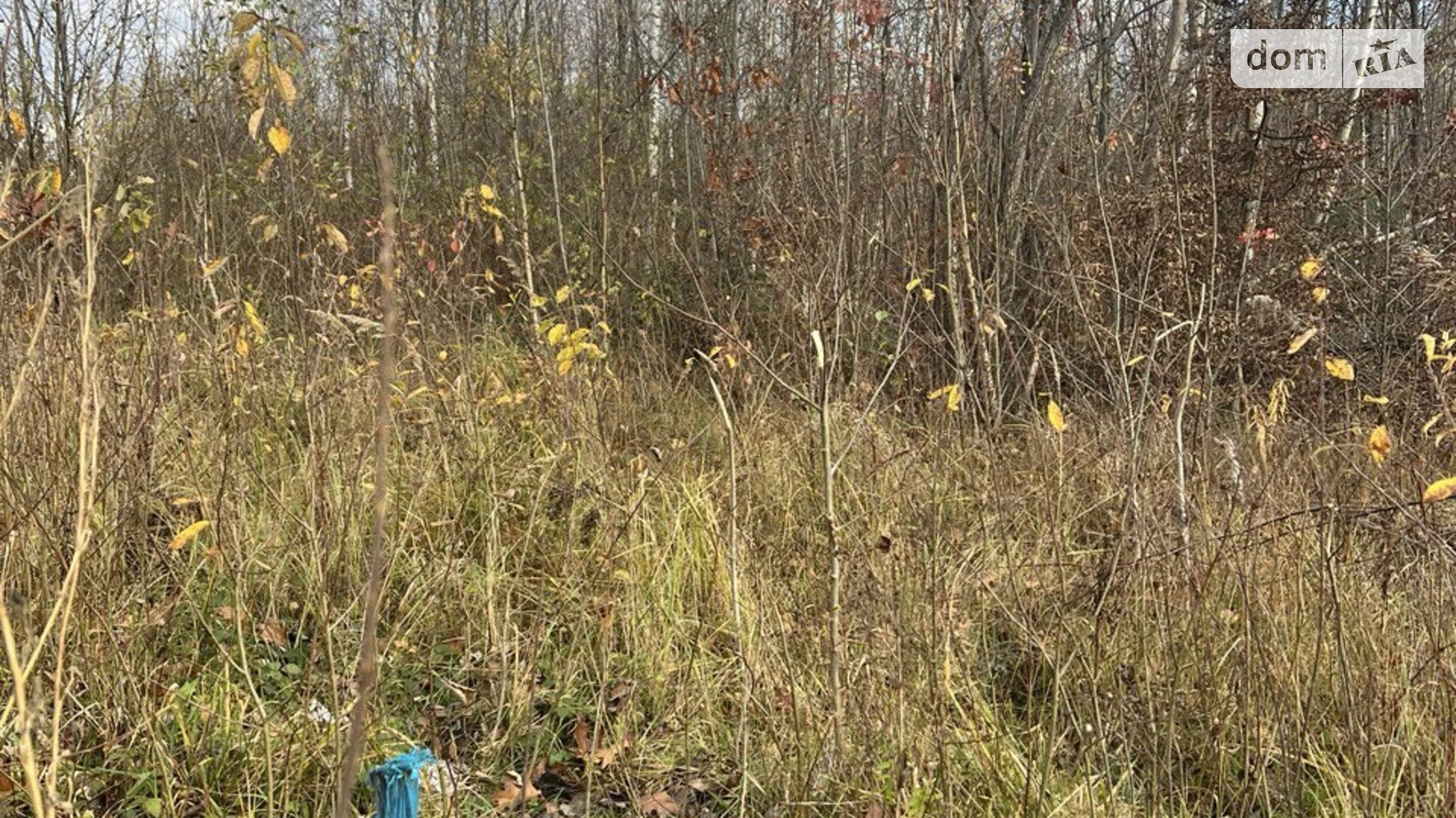 Продається земельна ділянка 9.92 соток у Івано-Франківській області, цена: 20000 $ - фото 4