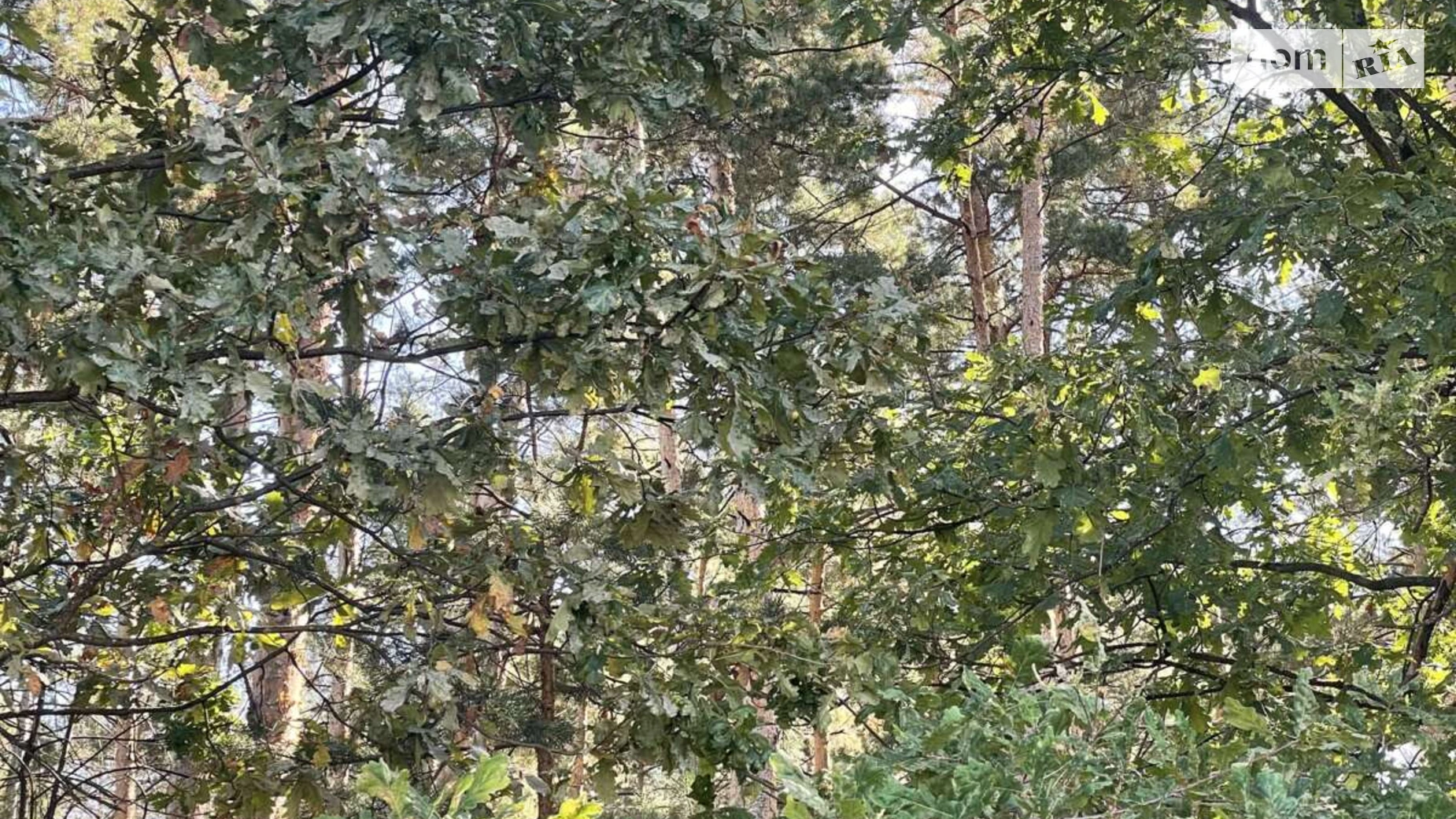 Лесі Українки Забуччя, цена: 42500 $ - фото 2