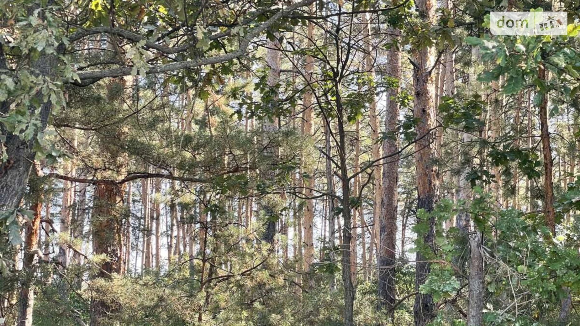 Лесі Українки Забуччя, цена: 42500 $ - фото 3