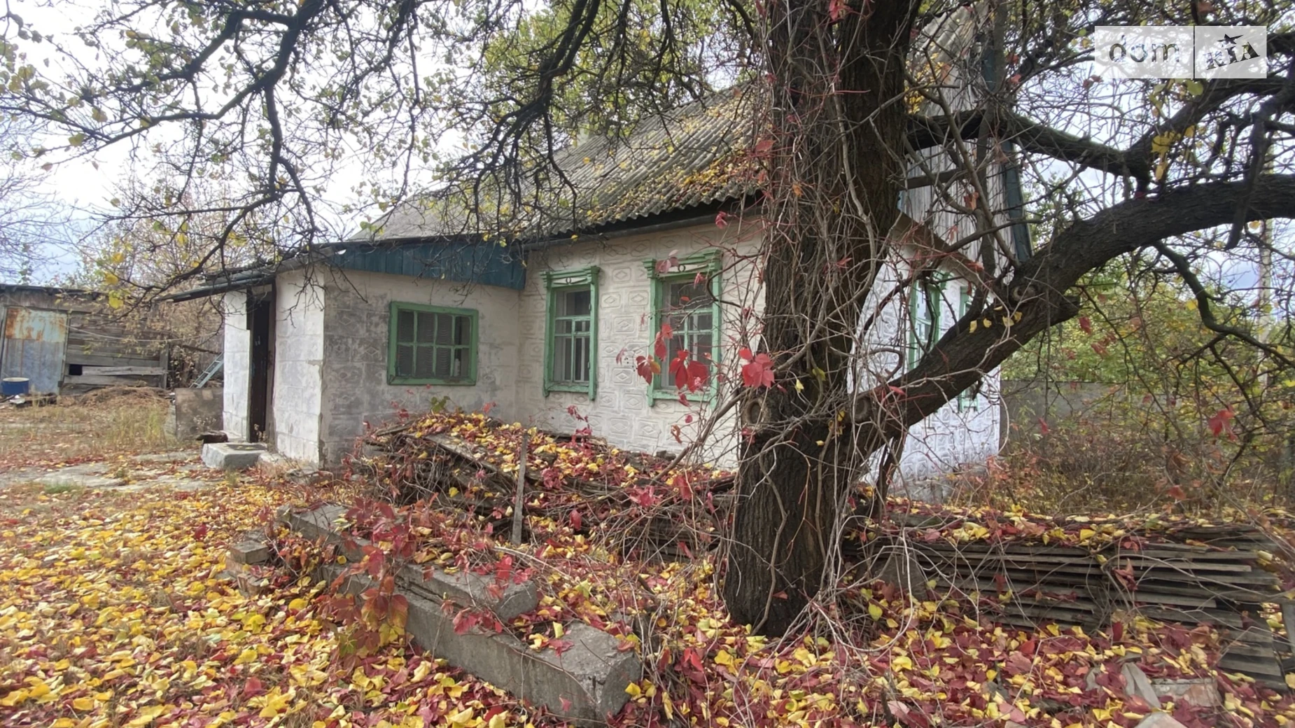 Продается одноэтажный дом 30 кв. м с подвалом, цена: 30000 $ - фото 3