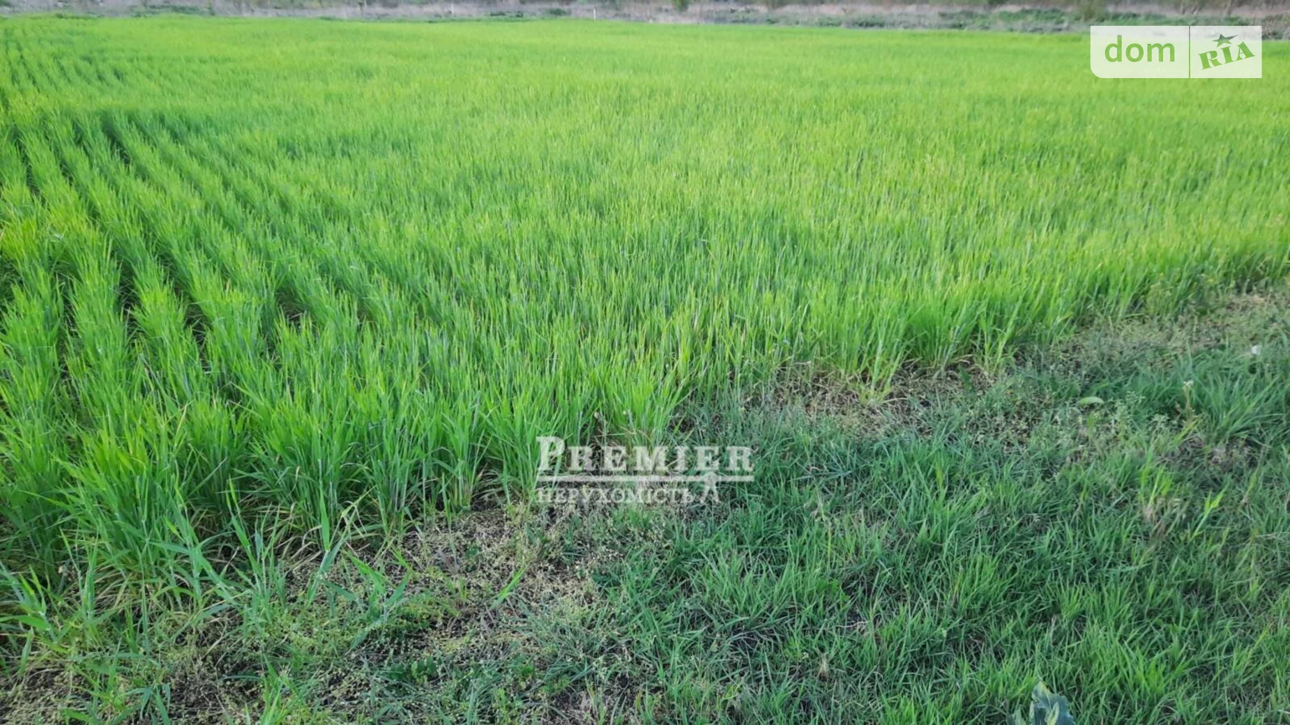 Продается земельный участок 9 соток в Донецкой области, цена: 10500 $ - фото 5