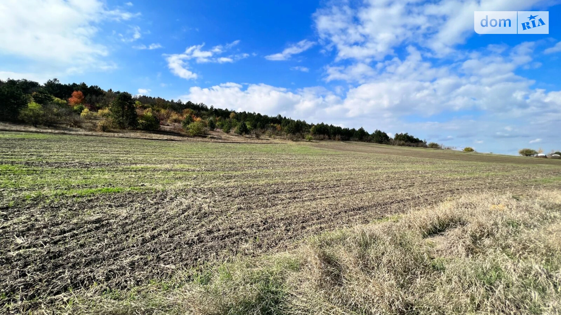Сдается в аренду земельный участок 2.5515 соток в Одесской области, цена: 9286 грн - фото 2