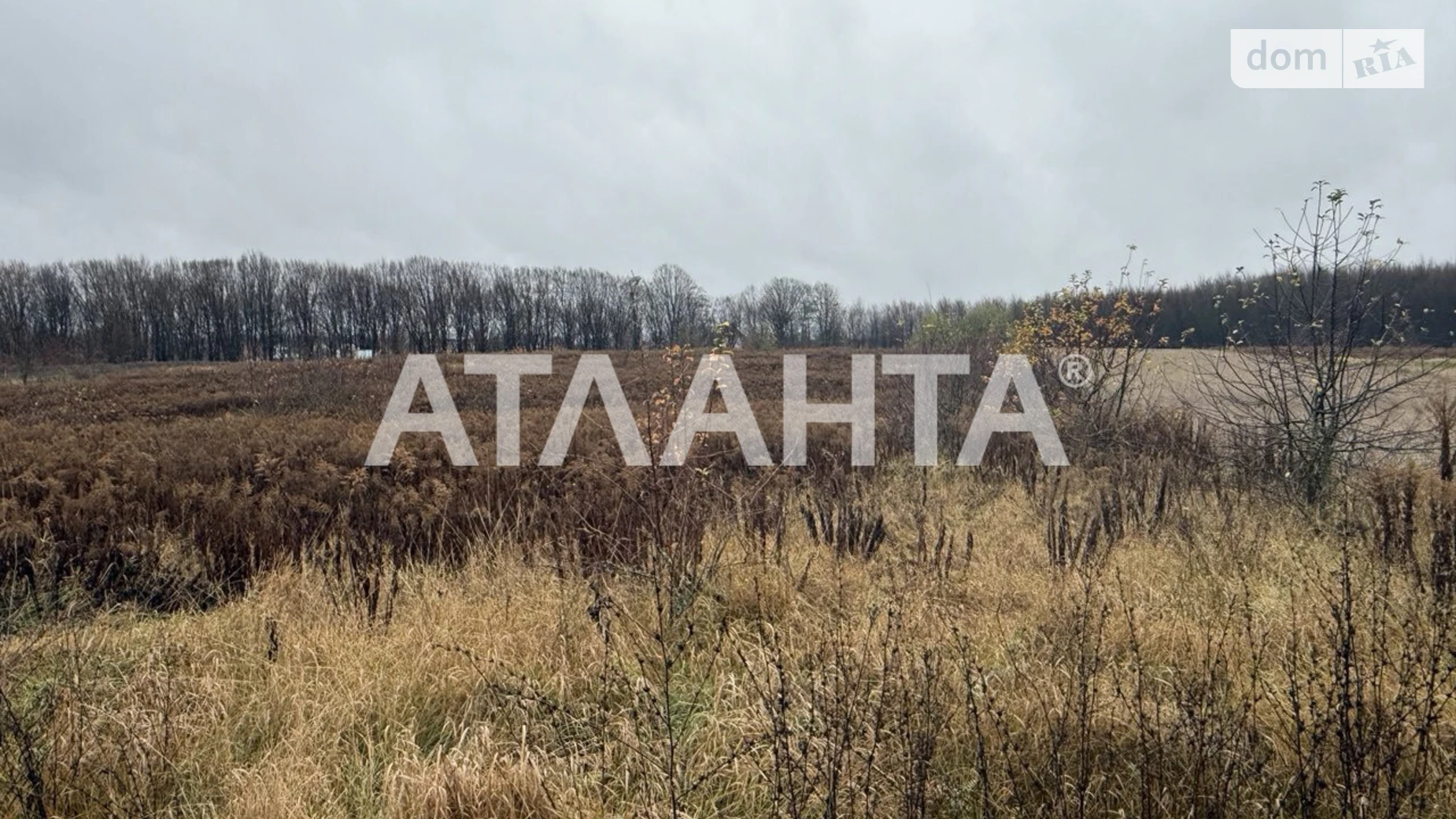 Продается земельный участок 26.67 соток в Винницкой области, цена: 55000 $ - фото 2