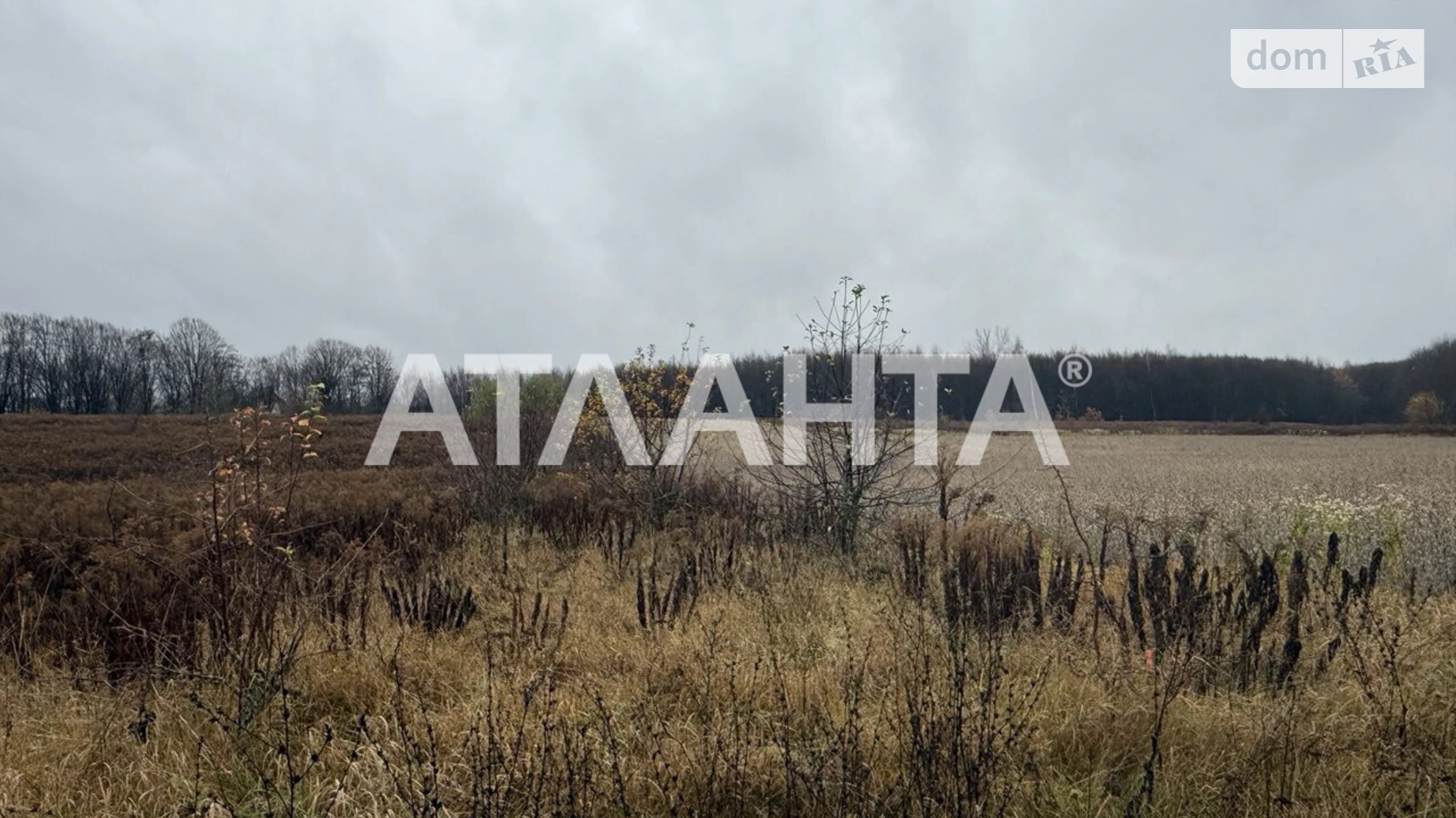 Продается земельный участок 26.67 соток в Винницкой области, цена: 55000 $ - фото 3