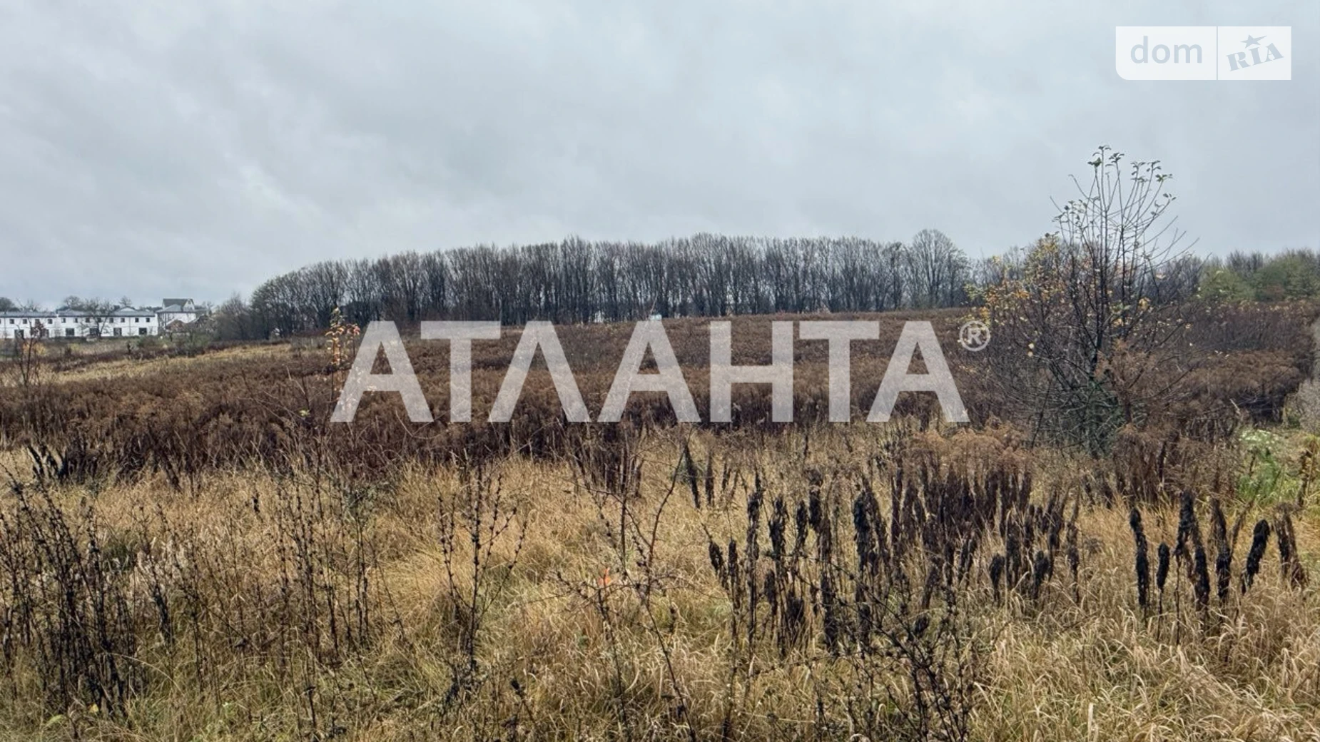 Продается земельный участок 26.67 соток в Винницкой области, цена: 55000 $ - фото 4