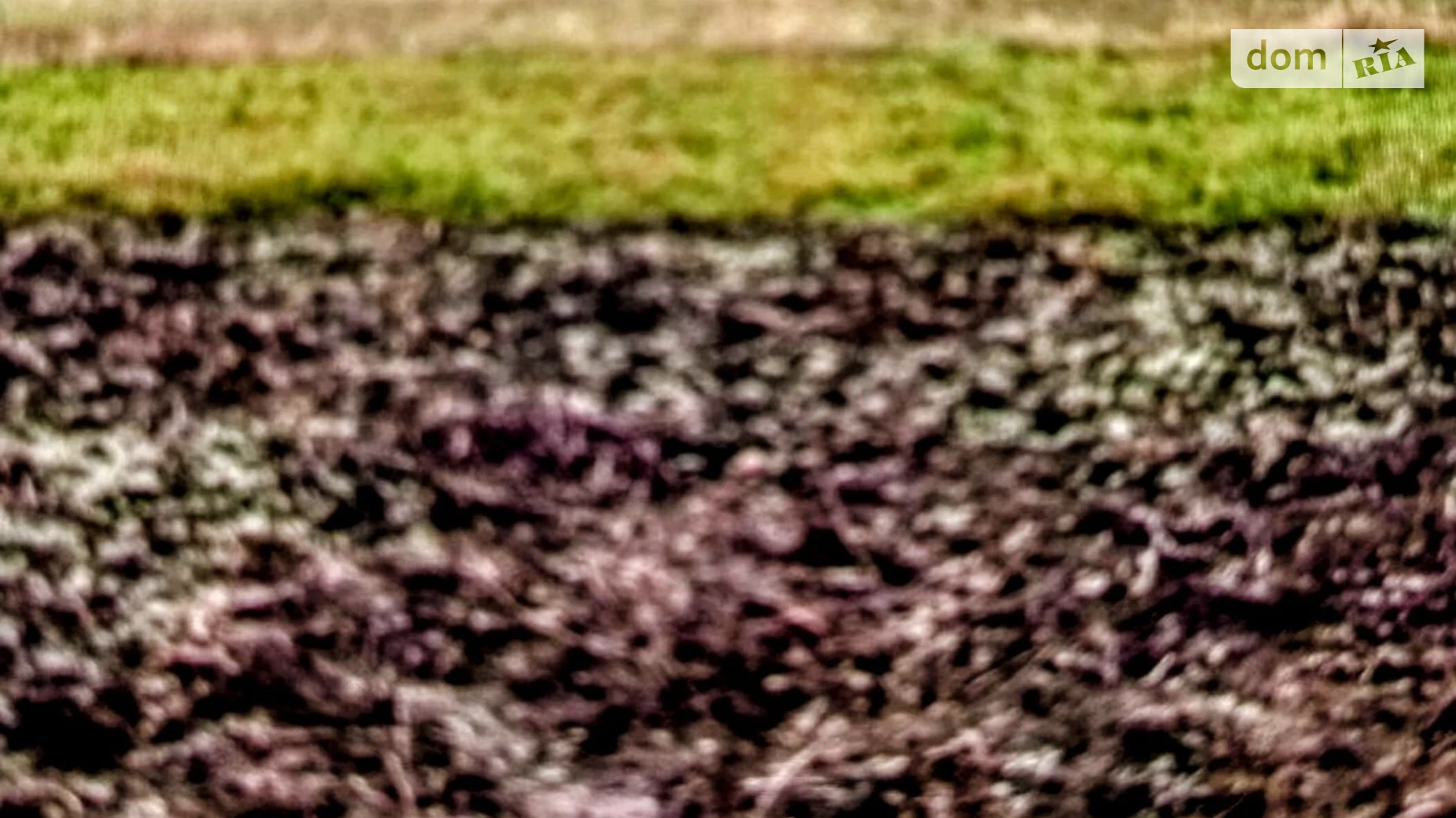 Продается земельный участок 10 соток в Винницкой области, цена: 4500 $ - фото 2