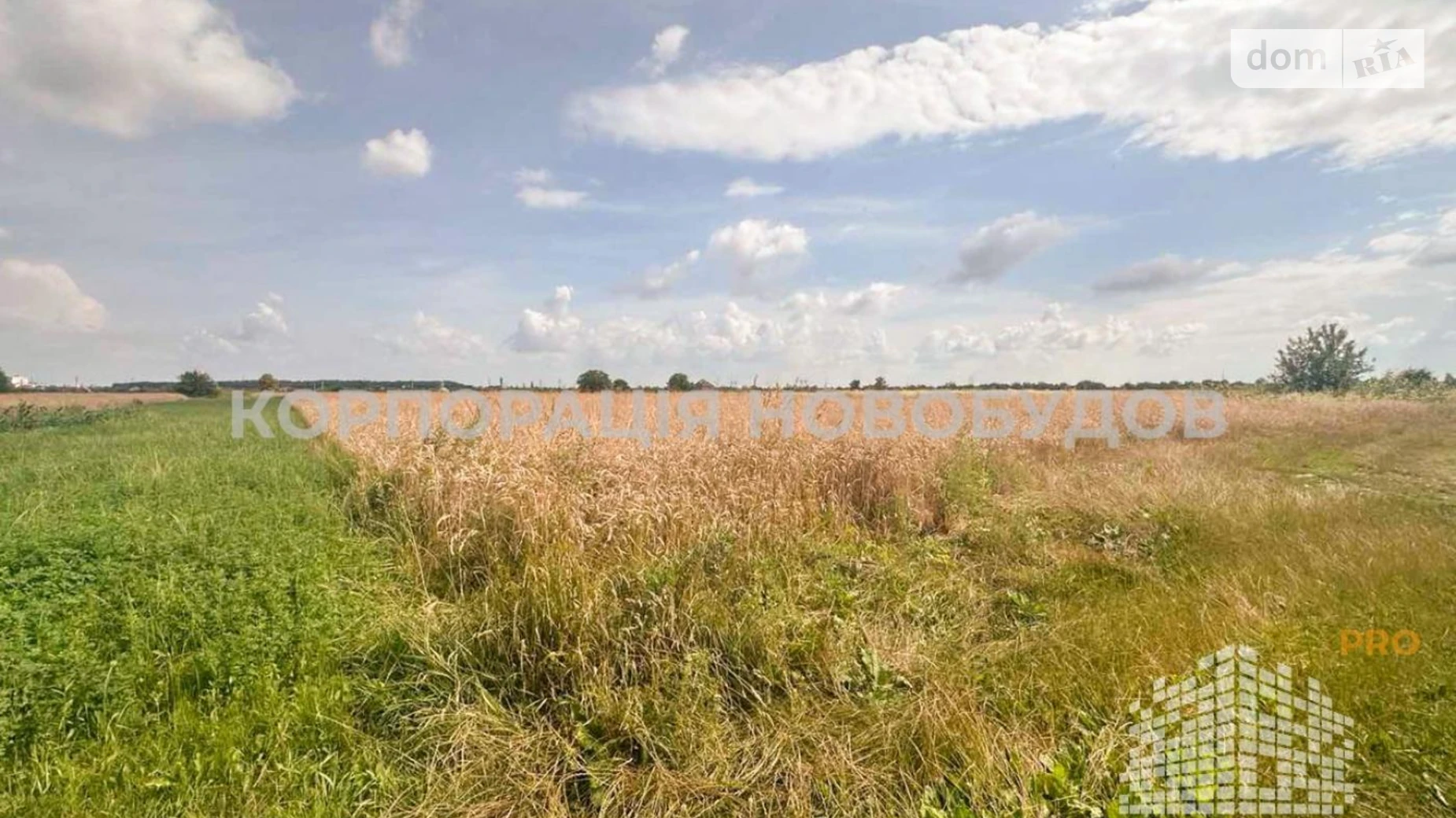 ул. Центральная Баранинцы, цена: 31900 $ - фото 4