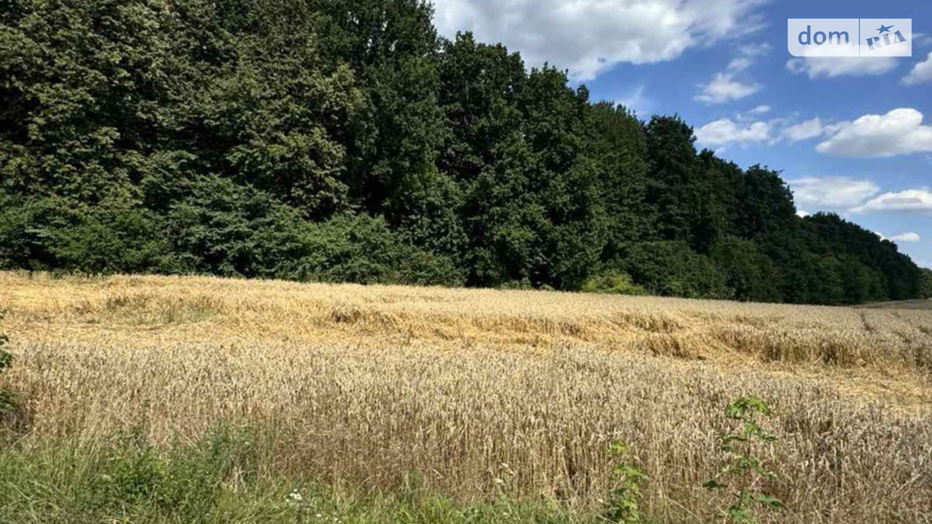 Продается земельный участок 2 соток в Винницкой области, цена: 105000 $ - фото 3