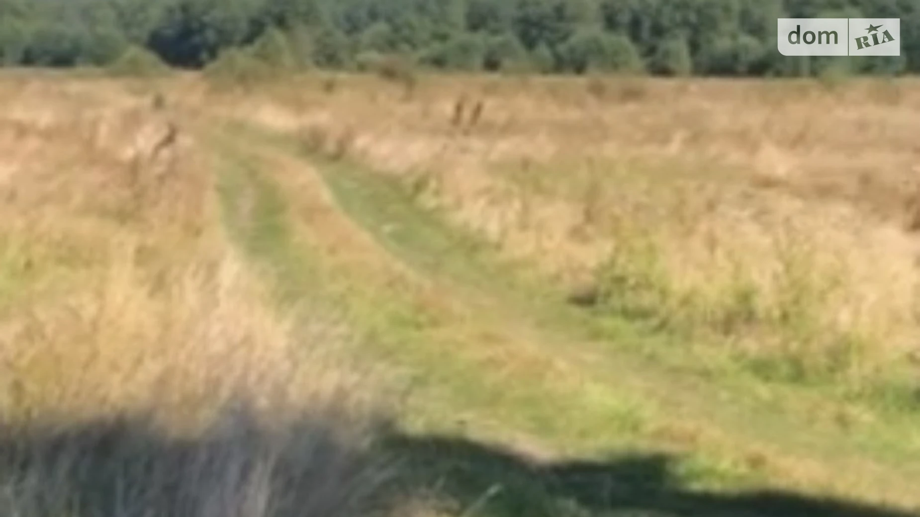 Продается земельный участок 2 соток в Винницкой области, цена: 105000 $ - фото 4