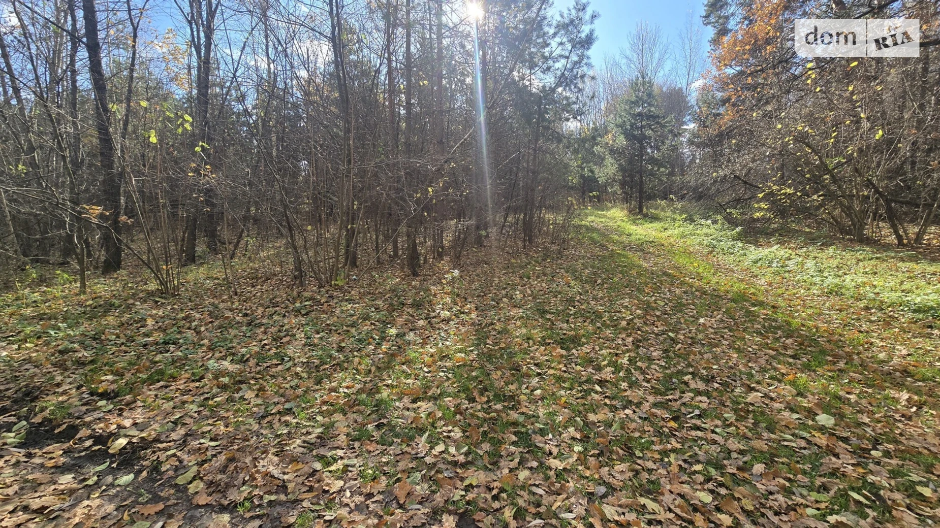 Продається земельна ділянка 12 соток у Житомирській області, цена: 5000 $ - фото 4