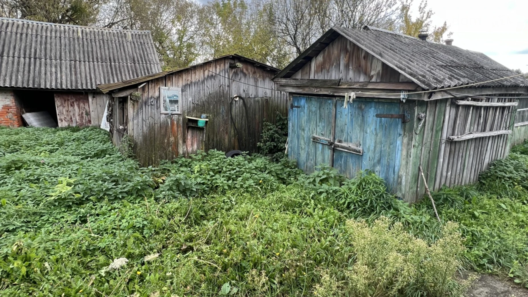 Продается одноэтажный дом 46 кв. м с участком, цена: 6000 $ - фото 4