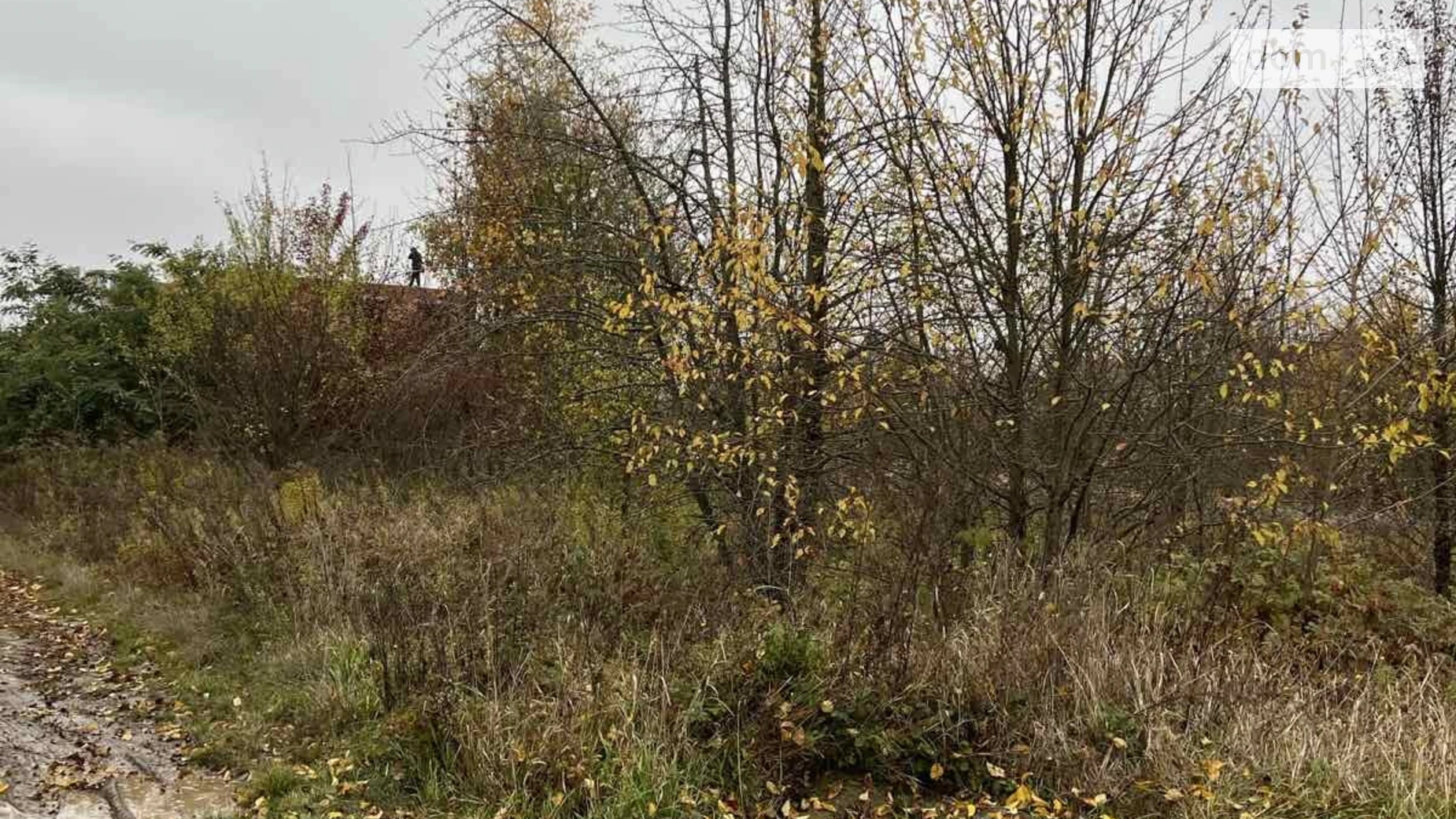 Продается земельный участок 10 соток в Винницкой области, цена: 37000 $ - фото 4