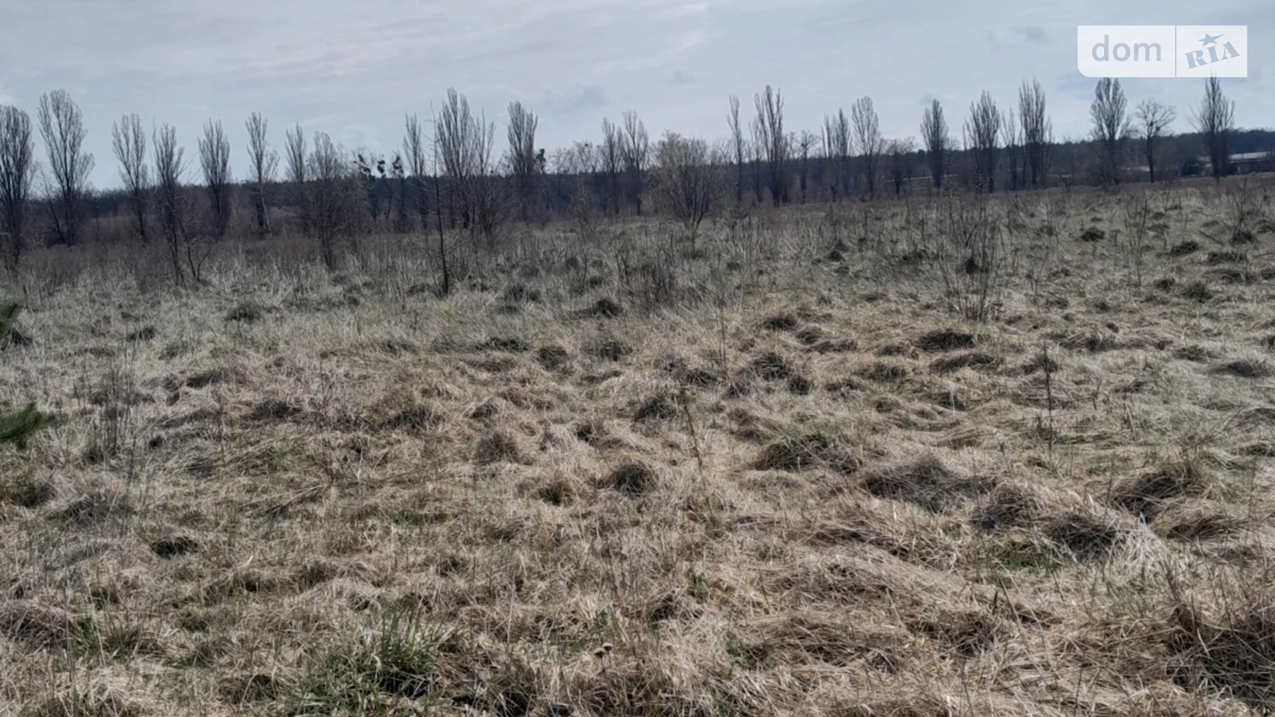 ул. Тихая Славное, цена: 5000 $ - фото 3