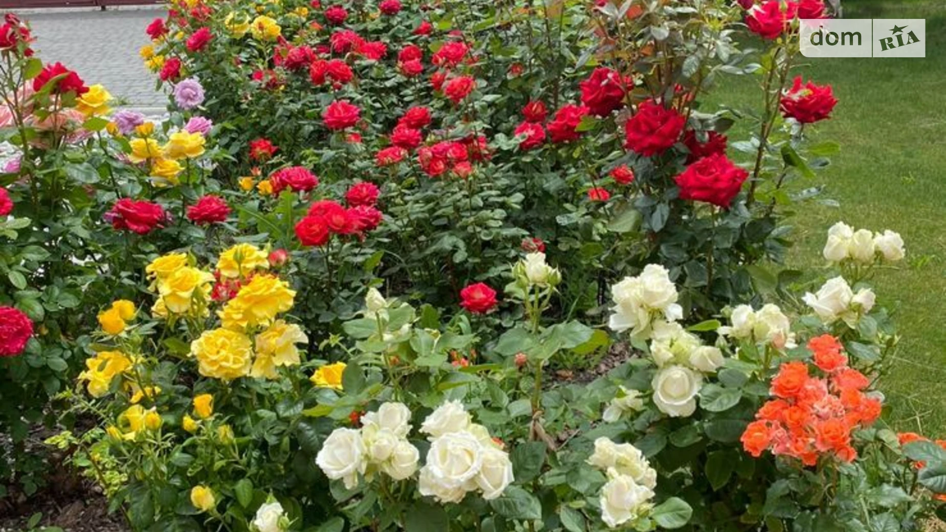 Продается дом на 2 этажа 270 кв. м с балконом, цена: 170000 $ - фото 3