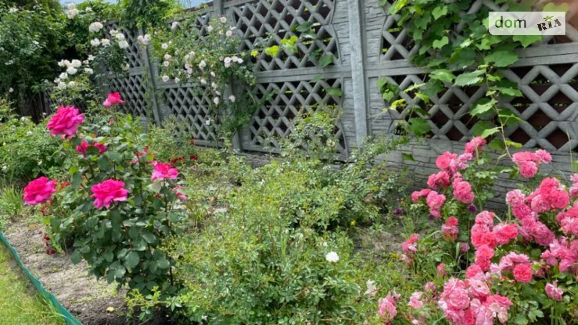 Продается дом на 2 этажа 270 кв. м с балконом, цена: 170000 $ - фото 4