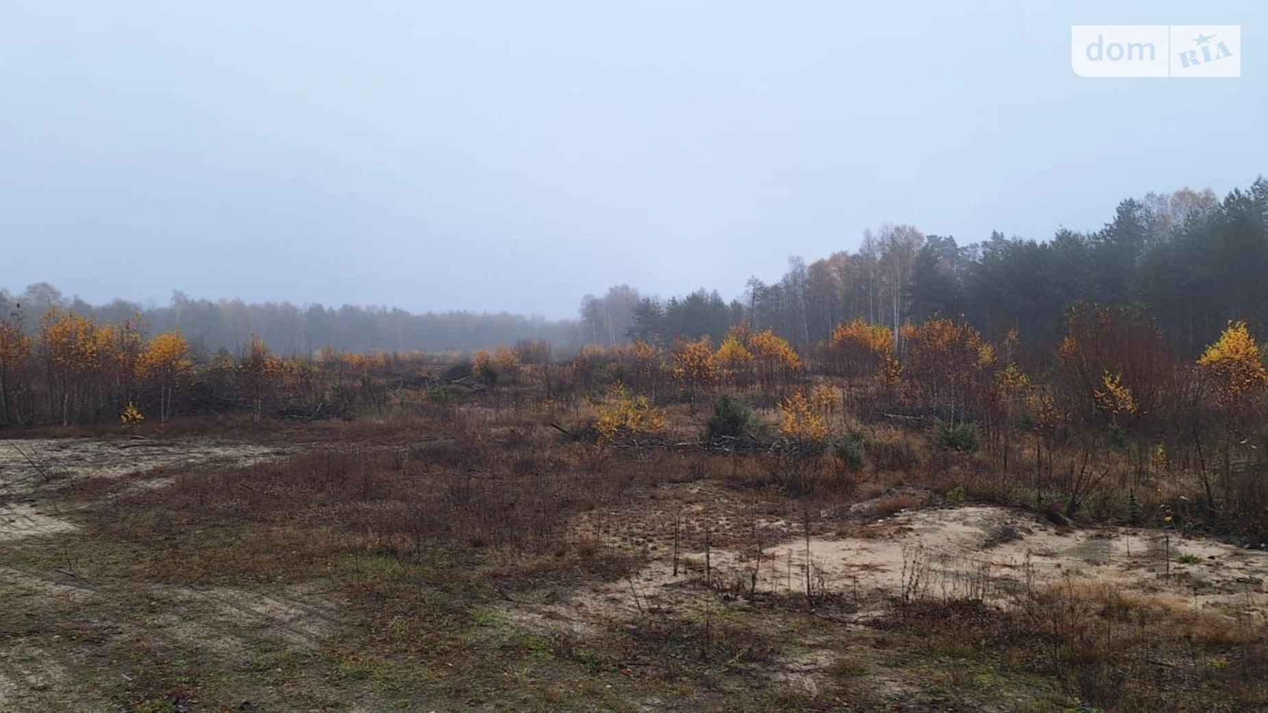 Сдается в аренду земельный участок 6.0124 соток в Волынской области, цена: 342928 грн - фото 2