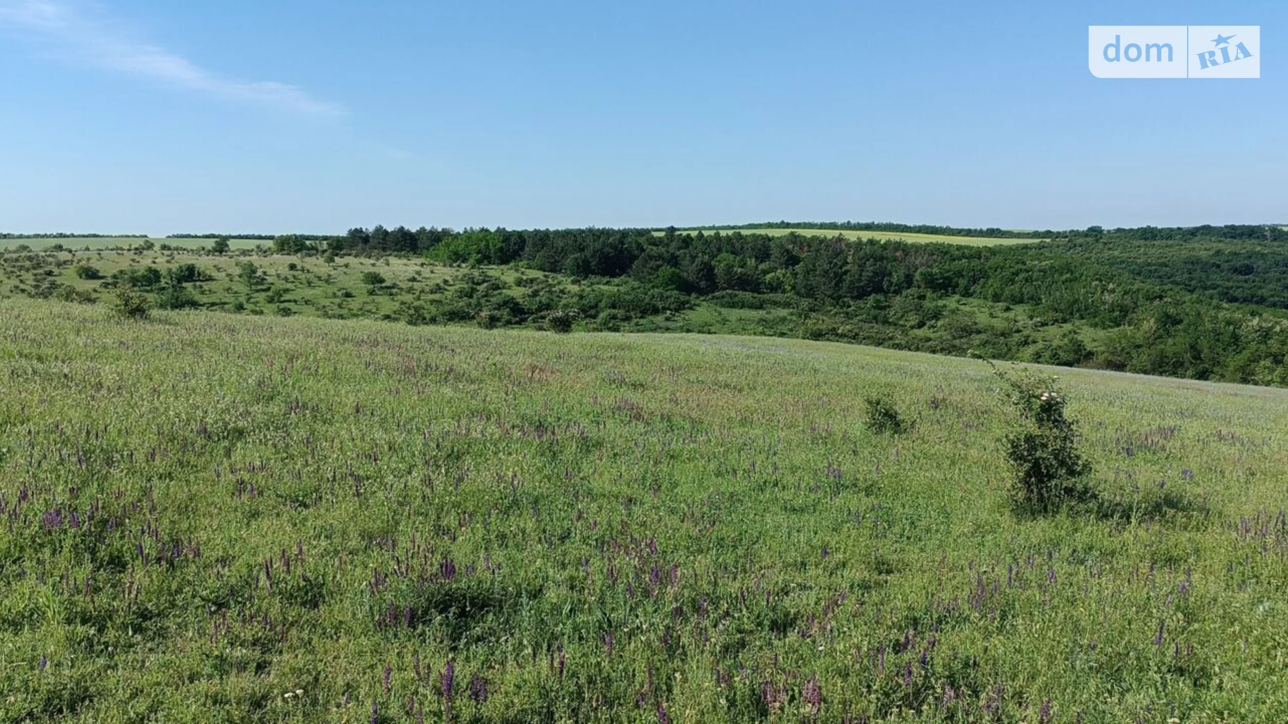 Маяки (Красные Окны), цена: 60468 грн - фото 2