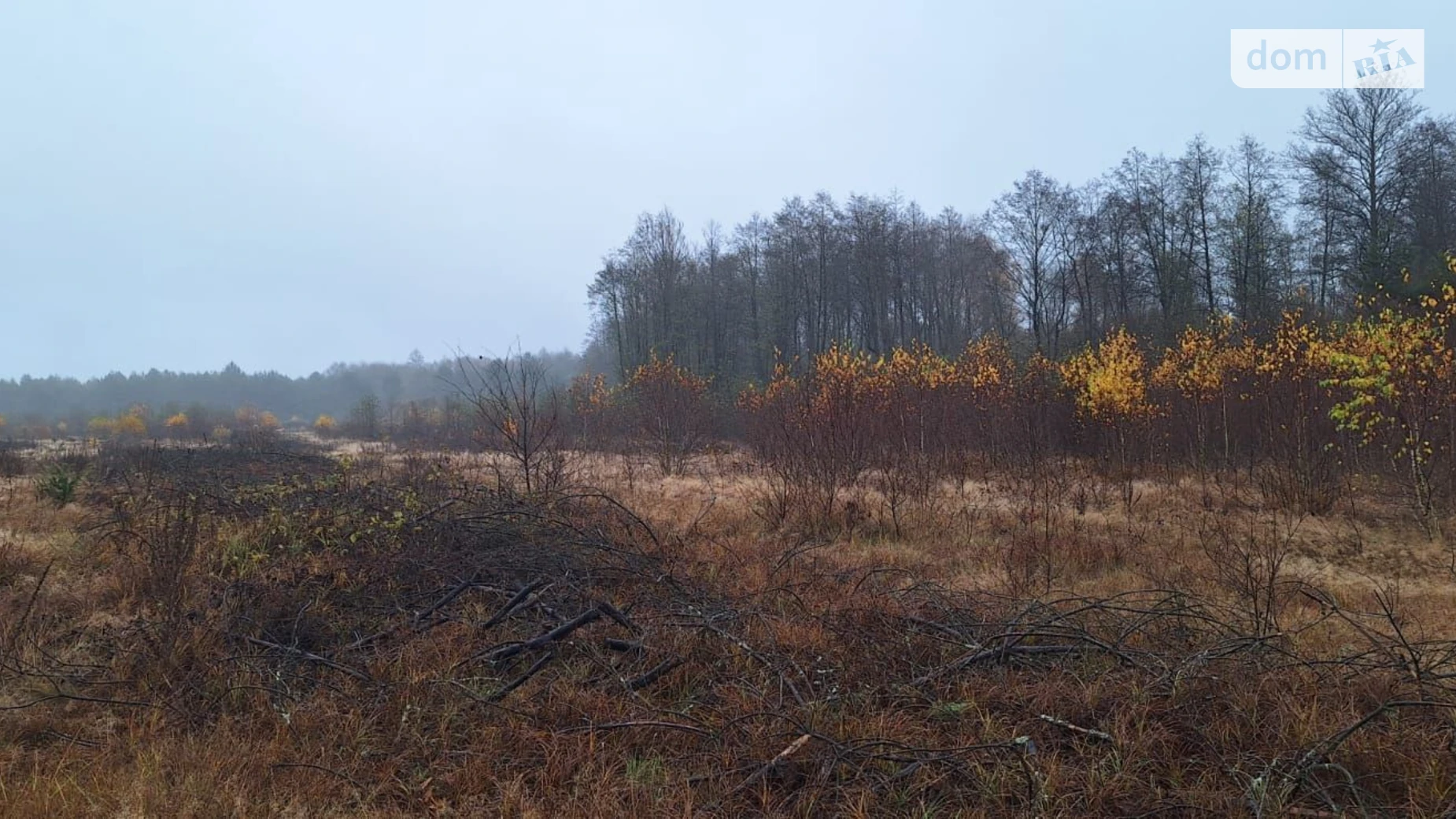 Сдается в аренду земельный участок 2.7295 соток в Волынской области, цена: 155682 грн - фото 2