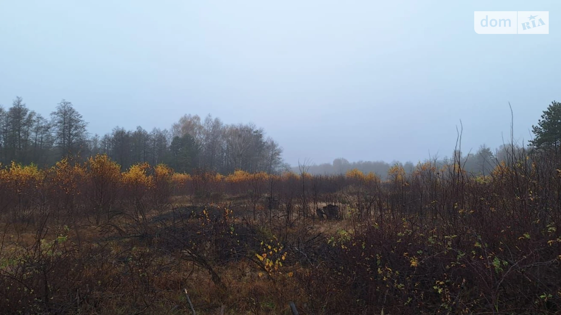 Сдается в аренду земельный участок 2.3908 соток в Волынской области, цена: 136363 грн - фото 2