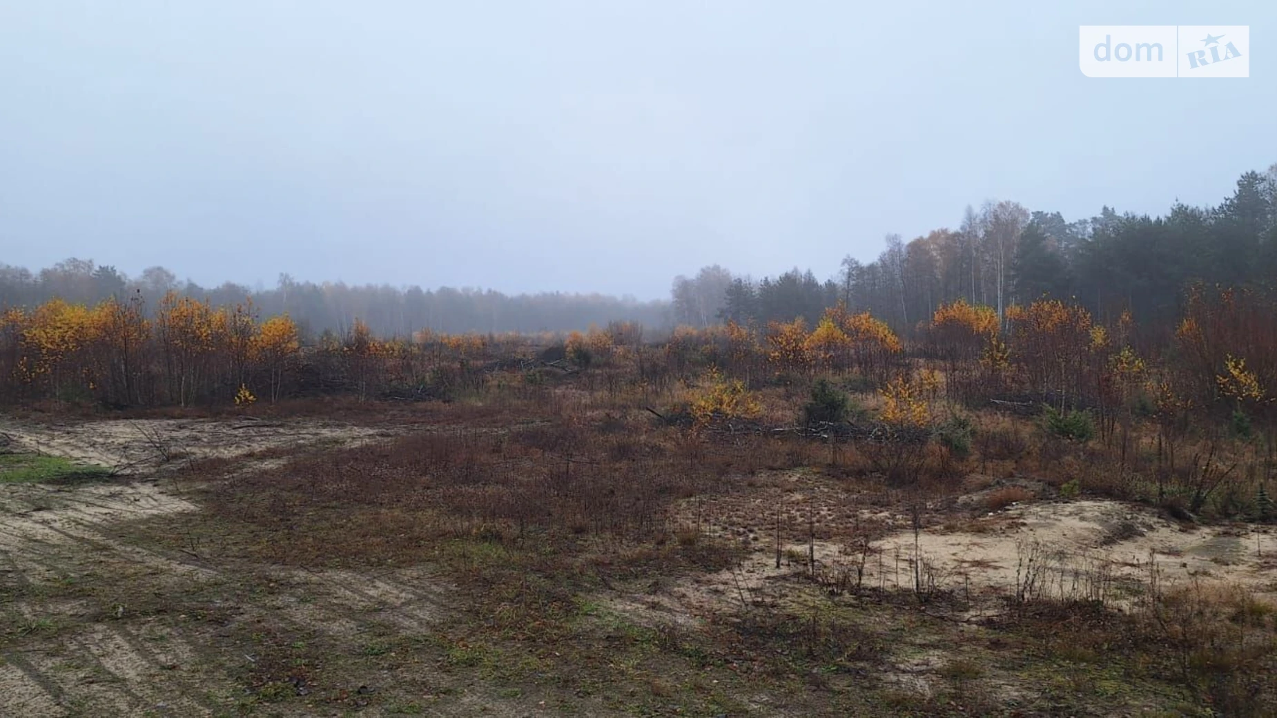 Сдается в аренду земельный участок 2.7295 соток в Волынской области, цена: 155682 грн - фото 3