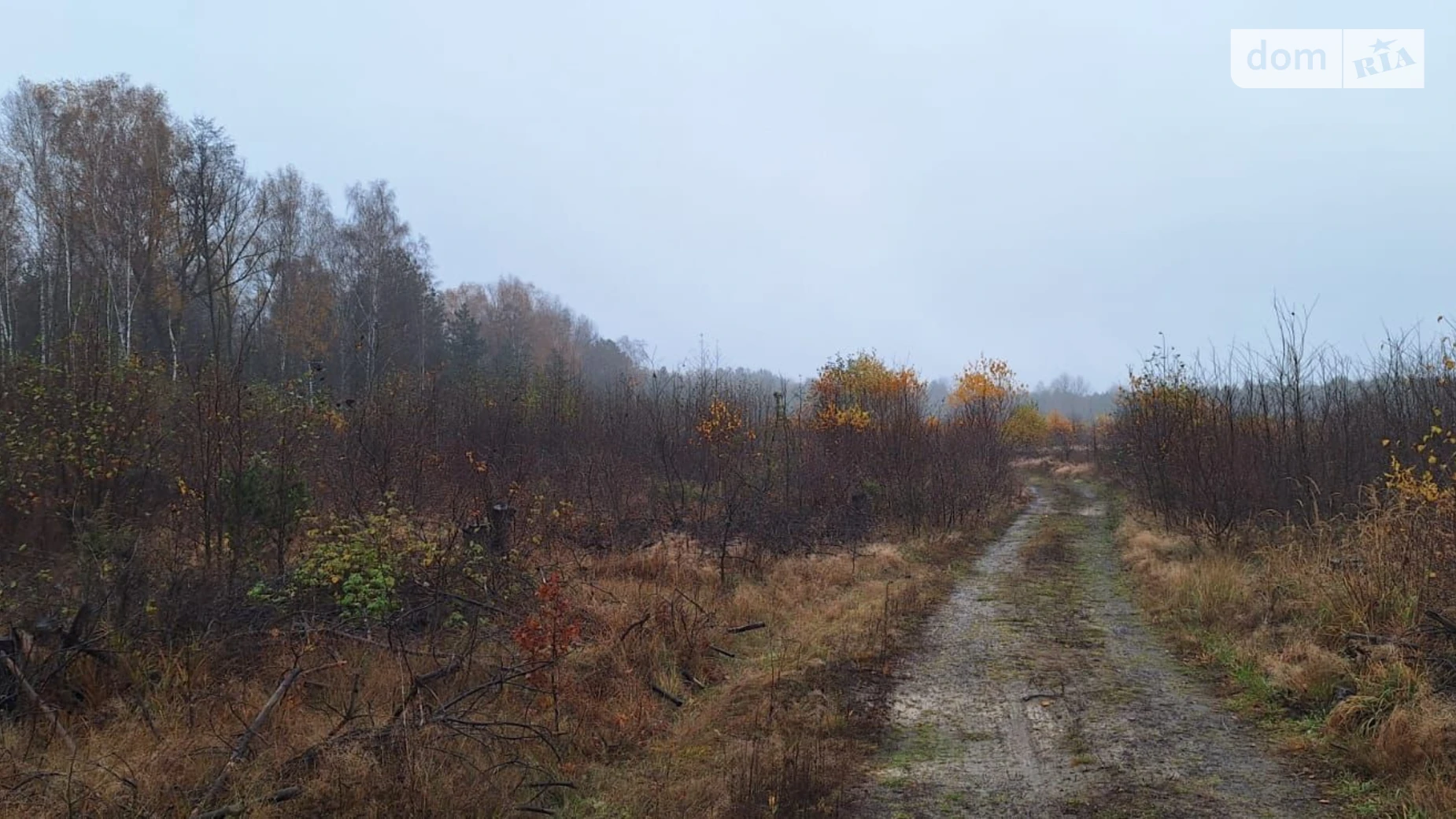 Сдается в аренду земельный участок 3.2128 соток в Волынской области, цена: 183247 грн - фото 2