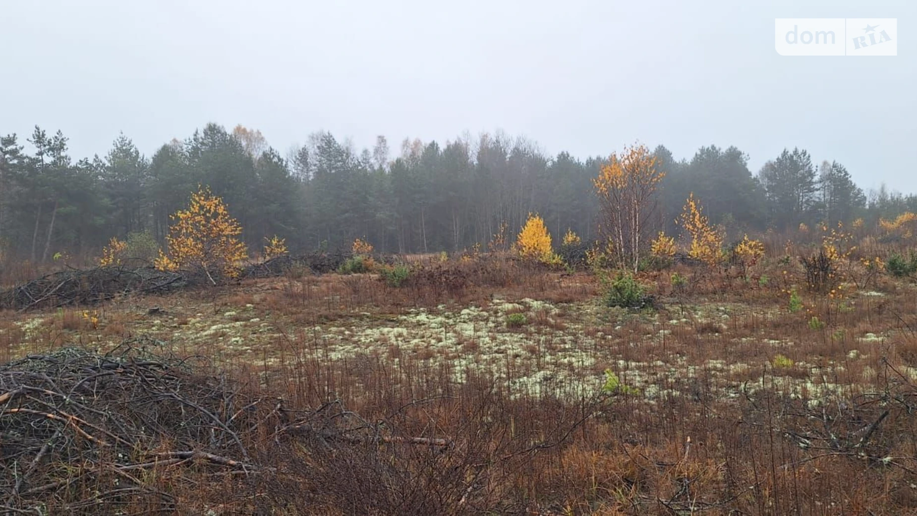 Сдается в аренду земельный участок 2.3908 соток в Волынской области, цена: 136363 грн - фото 3