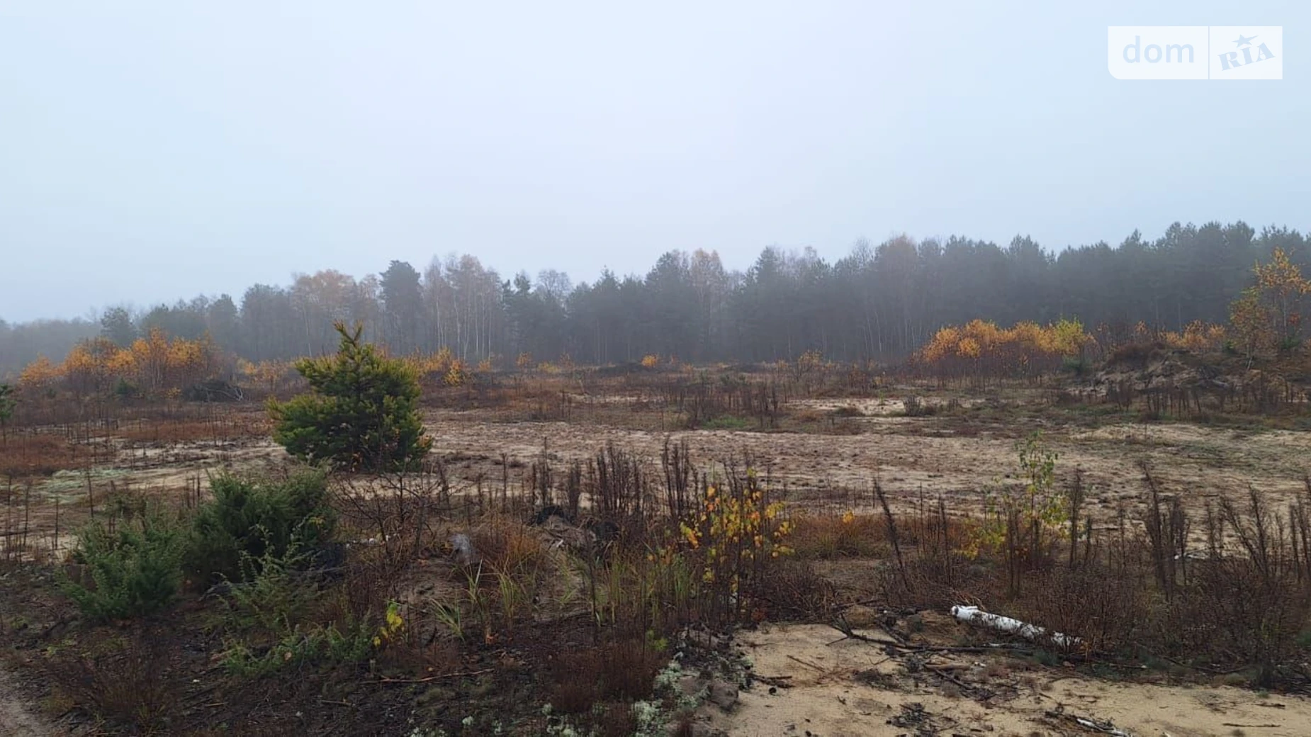 Сдается в аренду земельный участок 3.2128 соток в Волынской области, цена: 183247 грн - фото 3