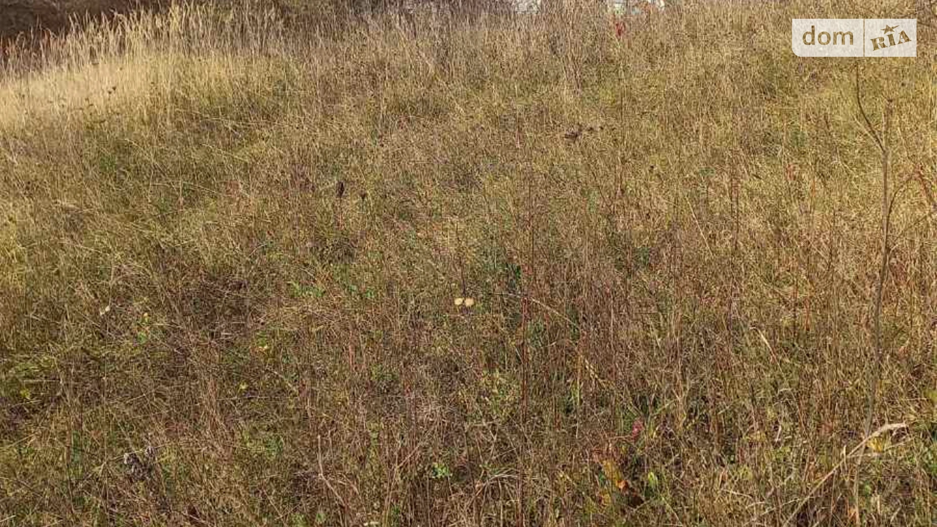 Продается земельный участок 10 соток в Хмельницкой области, цена: 10000 $ - фото 5