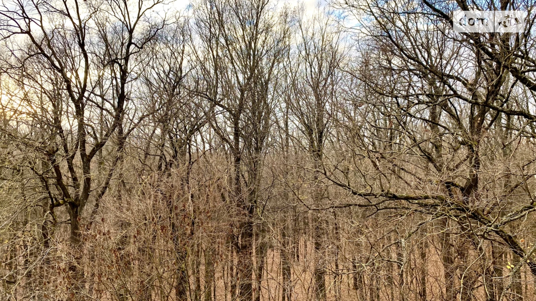 Продається 1-кімнатна квартира 47 кв. м у Вінниці, вул. Праведників світу(Максимовича) - фото 5