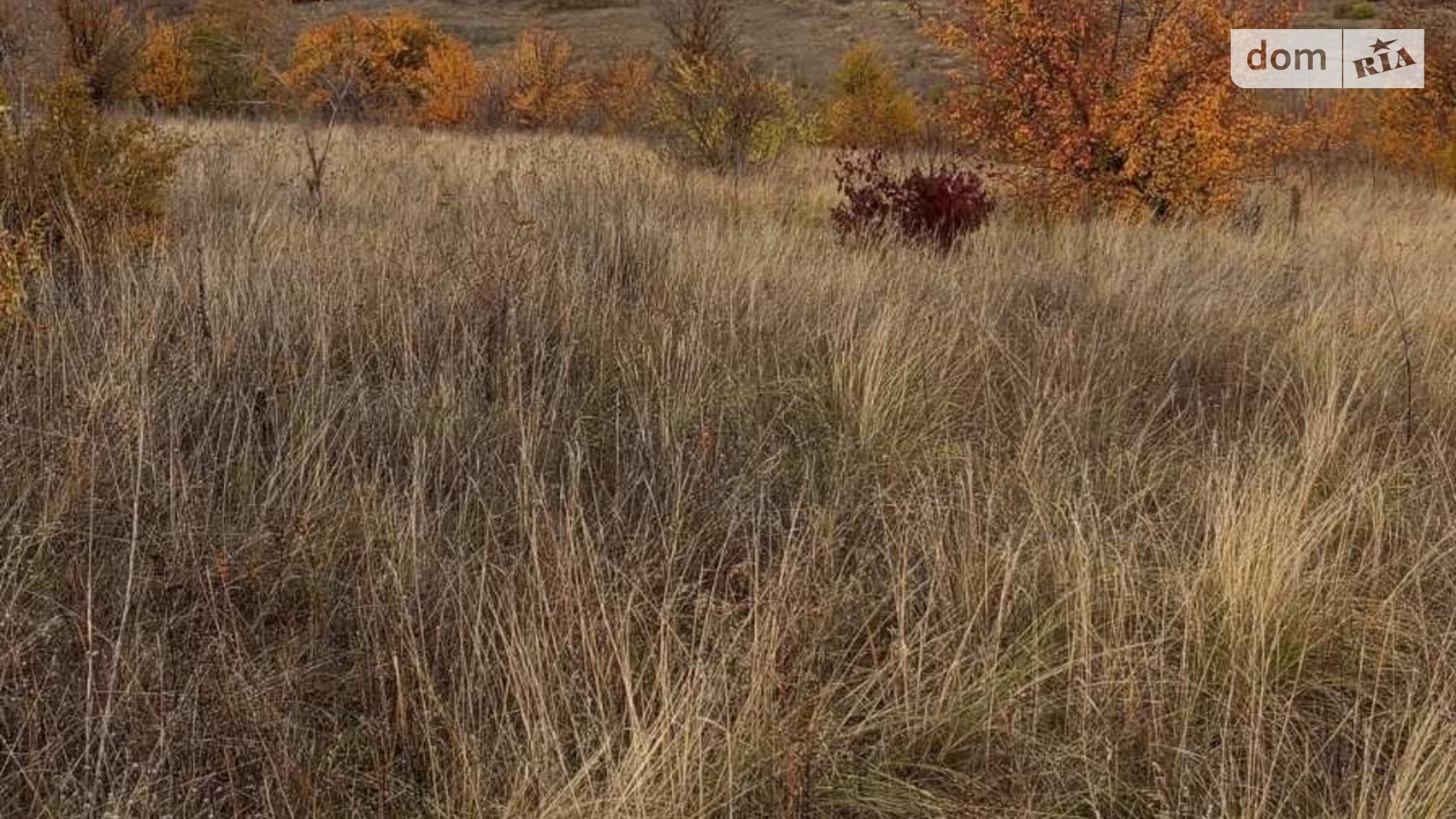 Сдается в аренду земельный участок 16.4521 соток в Одесской области, цена: 78616 грн - фото 2