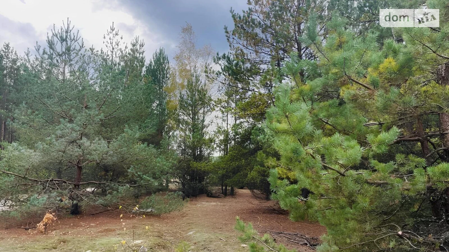 Продается земельный участок 18.08 соток в Киевской области, цена: 5000 $ - фото 4