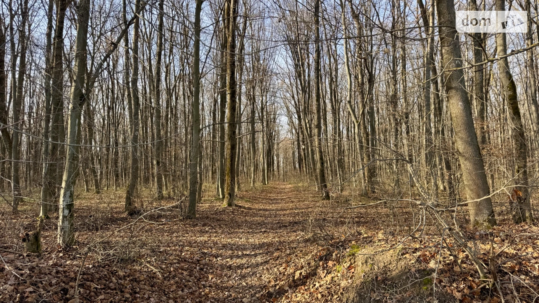 Продается земельный участок 12 соток в Винницкой области, цена: 14000 $ - фото 5