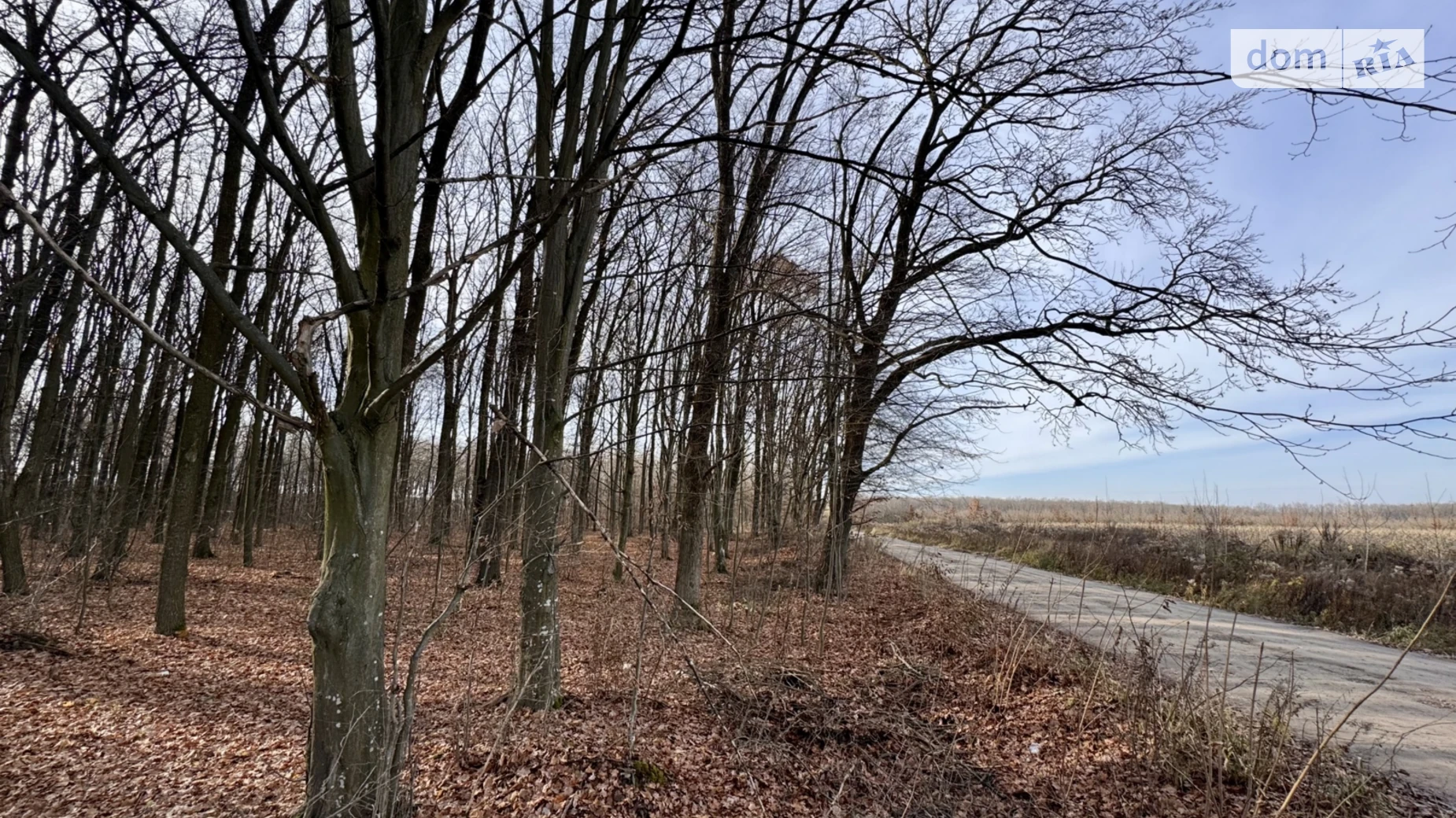 Продается земельный участок 236 соток в Винницкой области, цена: 100000 $ - фото 5