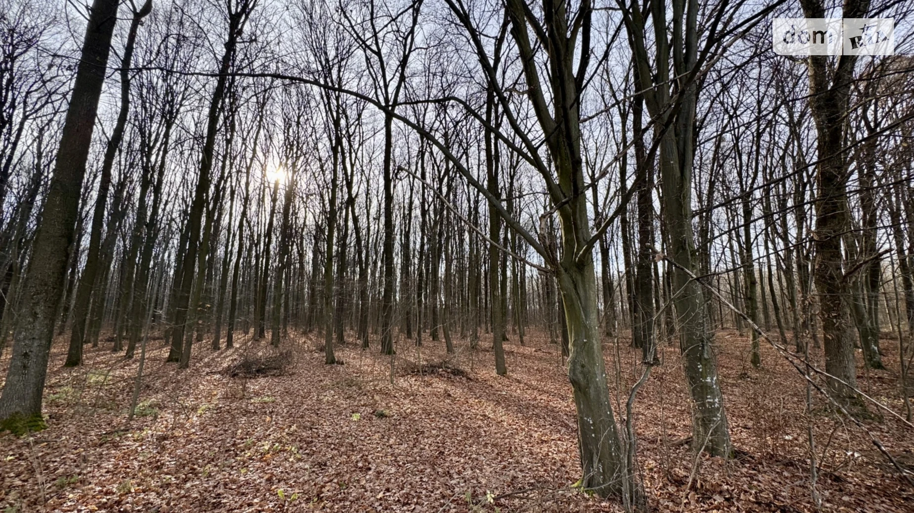 Продается земельный участок 236 соток в Винницкой области, цена: 100000 $ - фото 5