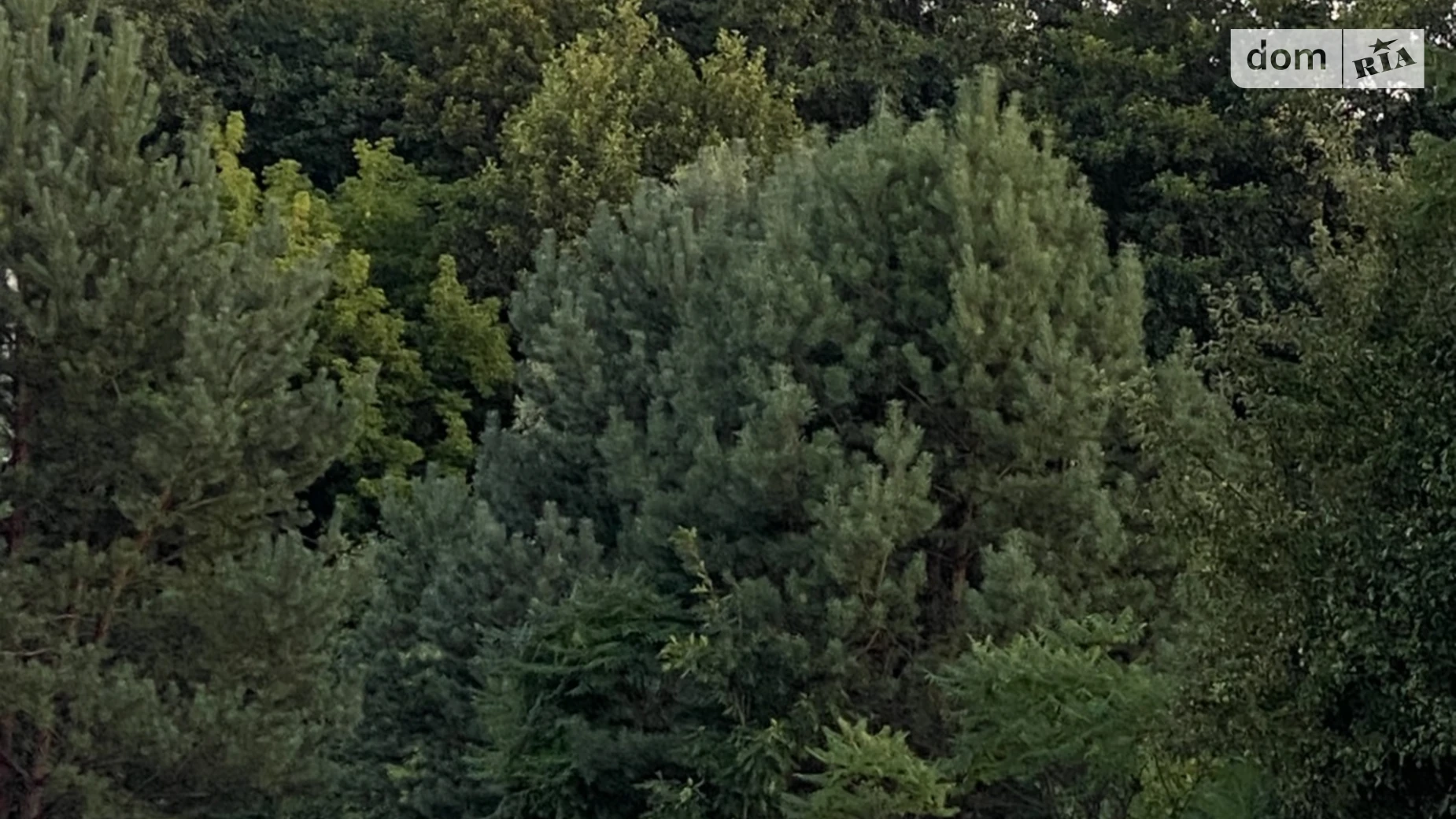 вул. Молодіжна Калинівка (Макарів), цена: 48000 $ - фото 4