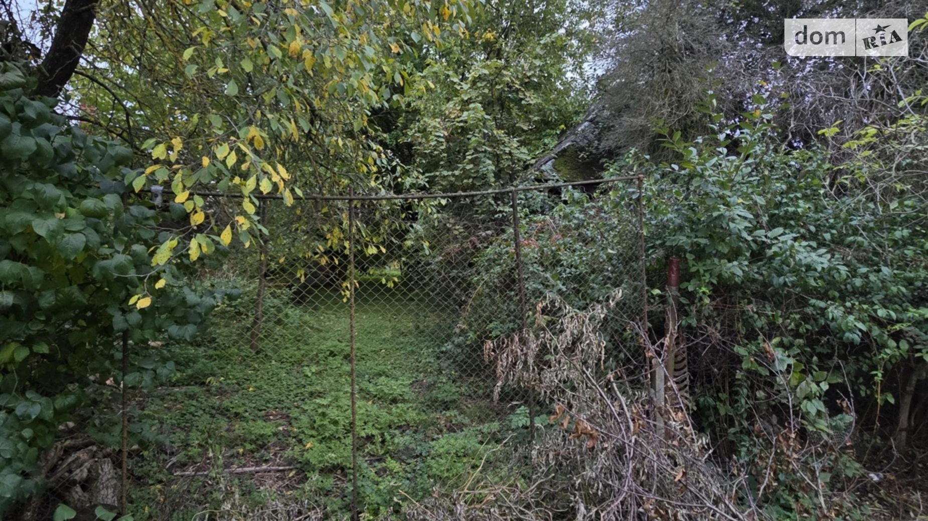 Продается земельный участок 22 соток в Закарпатской области, цена: 55000 $ - фото 2